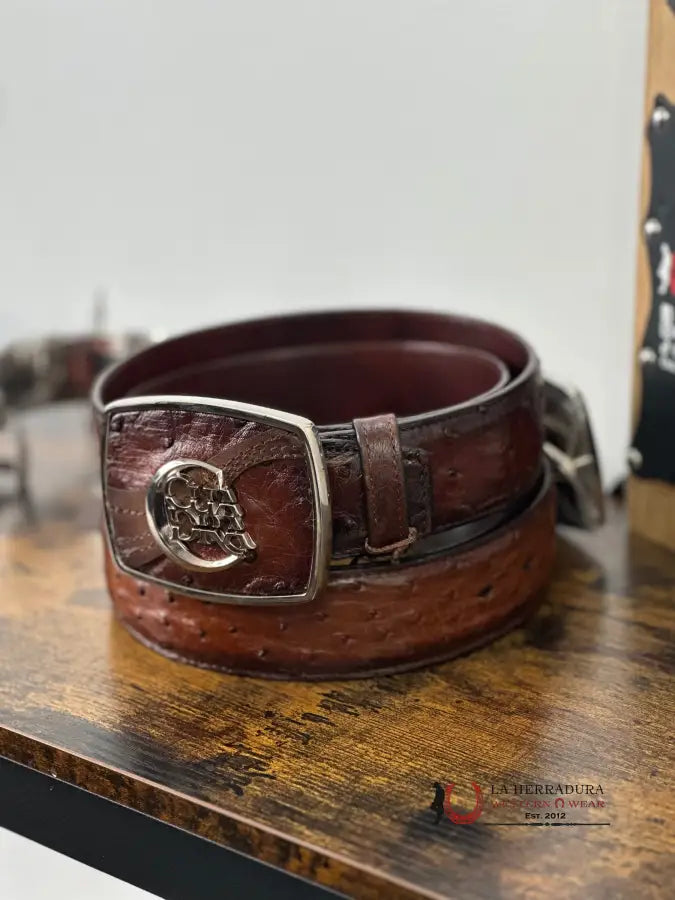 Cuadra Belt Ostrich Moroni Chestnut Castano Avestruz Cinturones Hombres