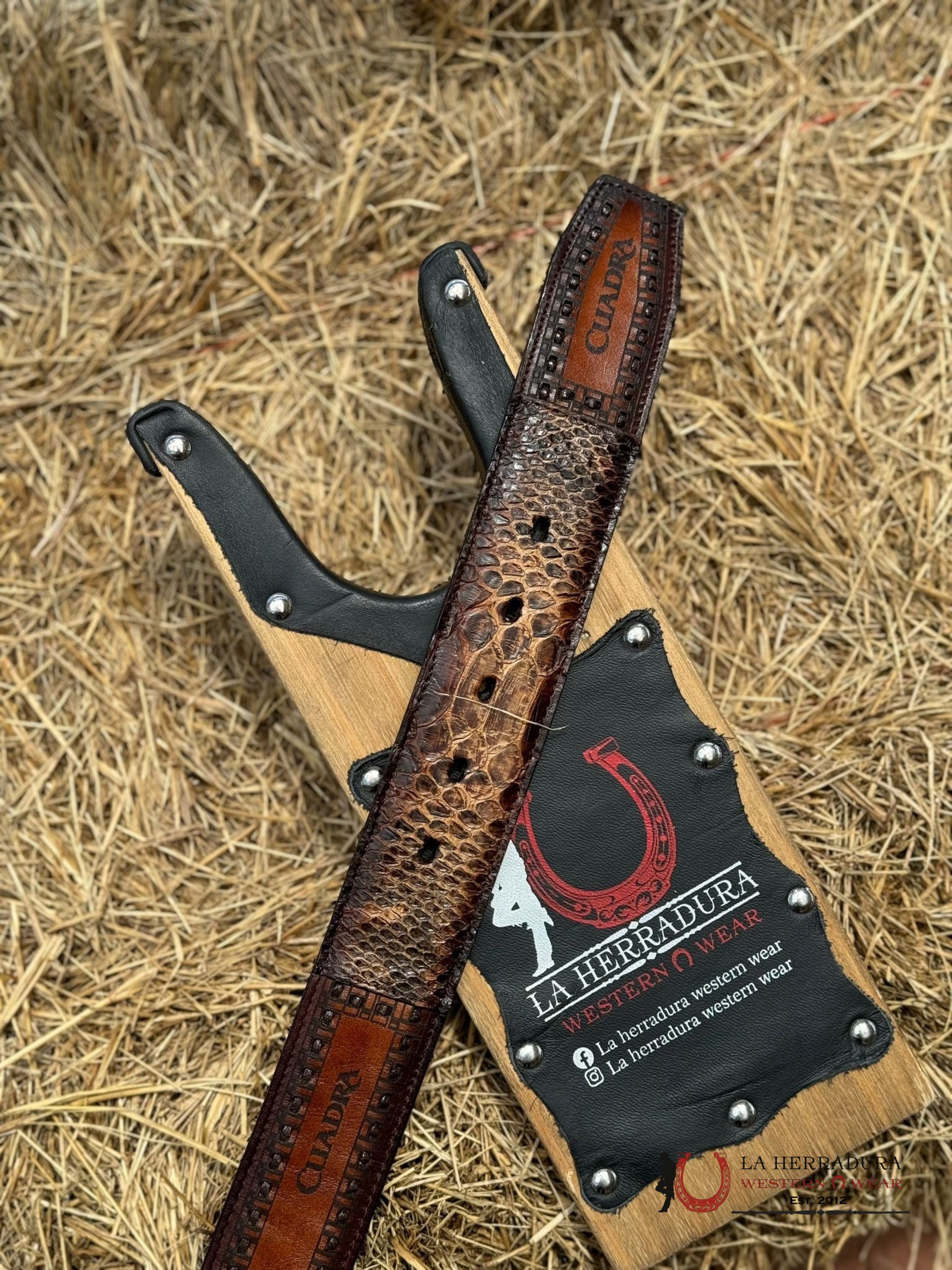 Cuadra Belt Python Brown Castano Cinturones Hombres