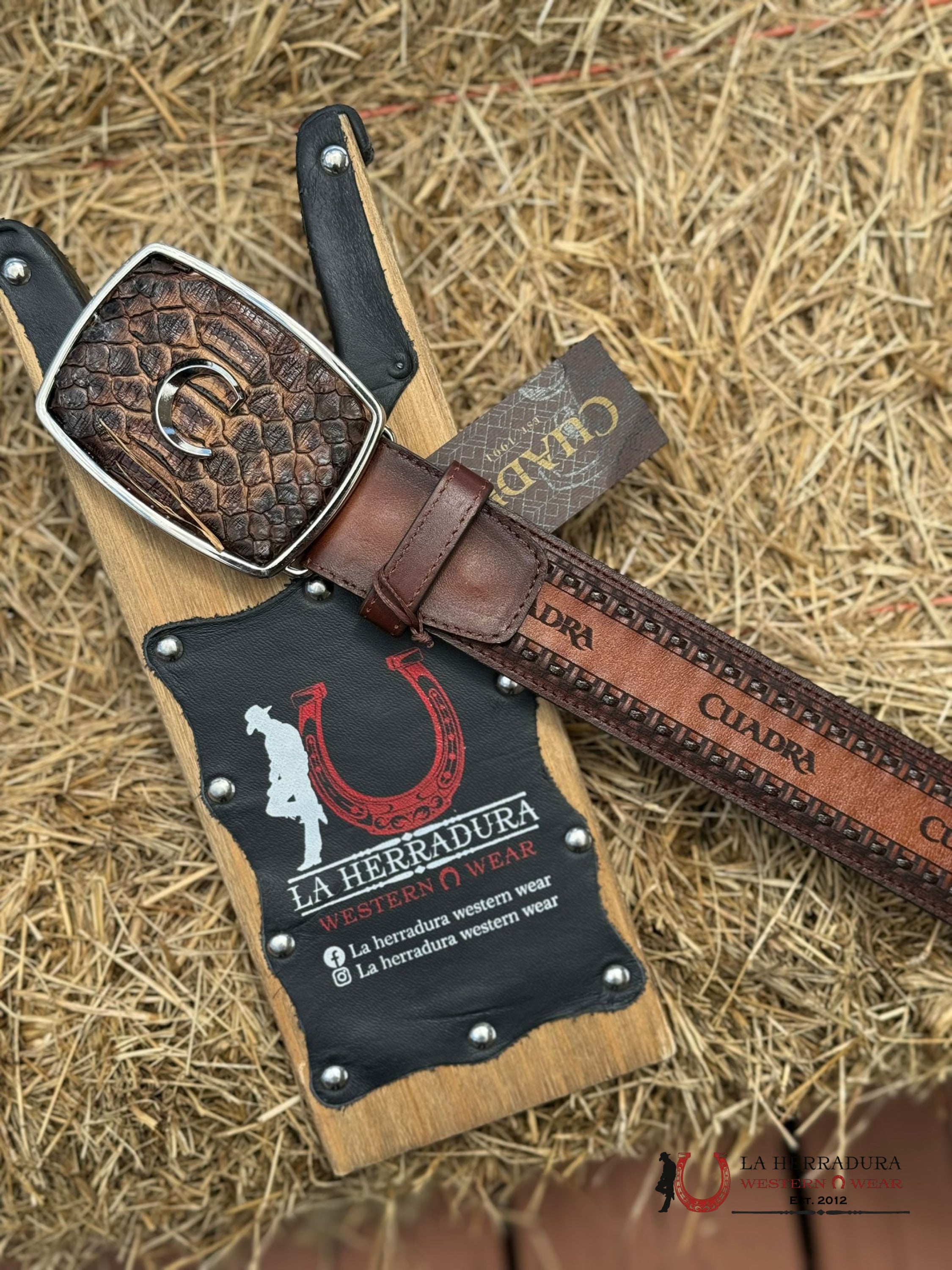 CUADRA BELT PYTHON BACK OVER BROWN BC200