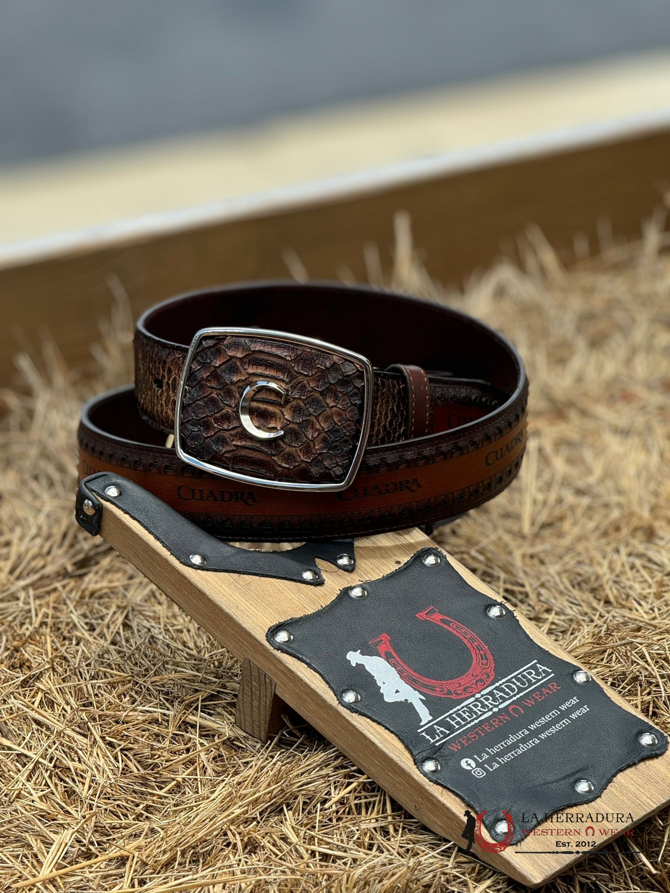 Cuadra Belt Python Brown Castano Cinturones Hombres