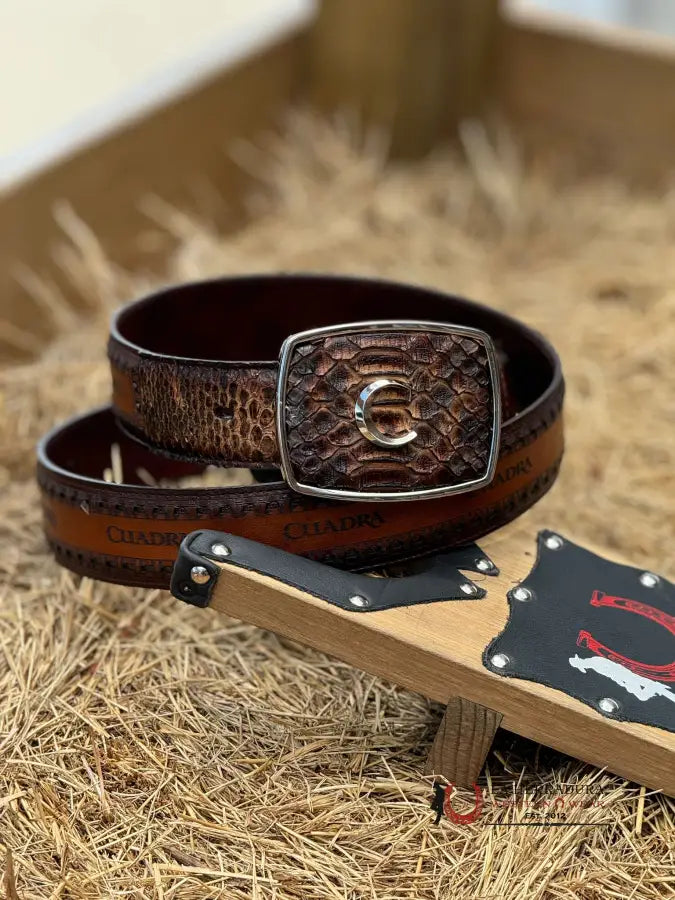 Cuadra Belt Python Brown Castano Cinturones Hombres