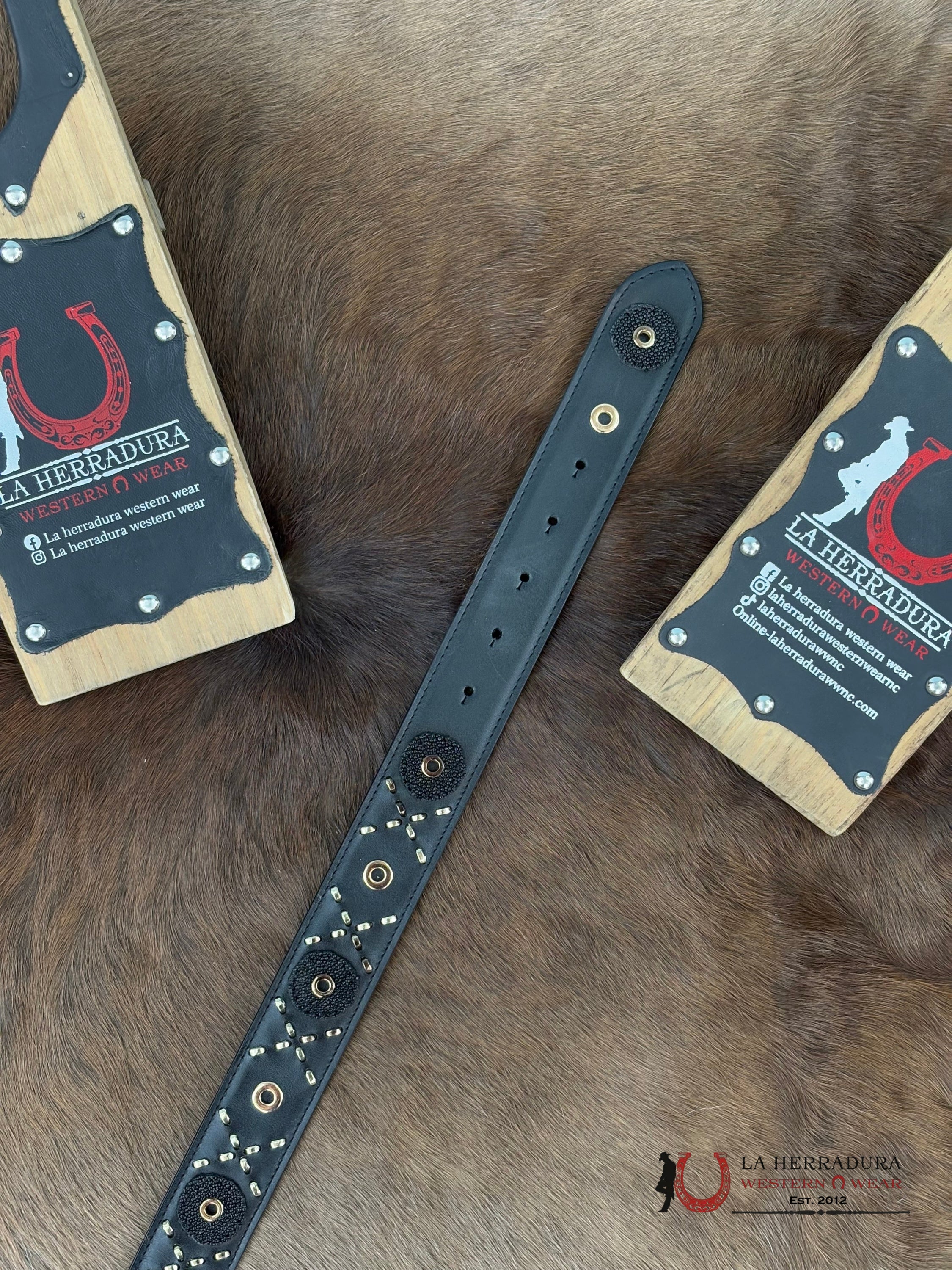 Cuadra Belt Stingray Mantarraya Black Studs & Woven Cinturones Mujeres