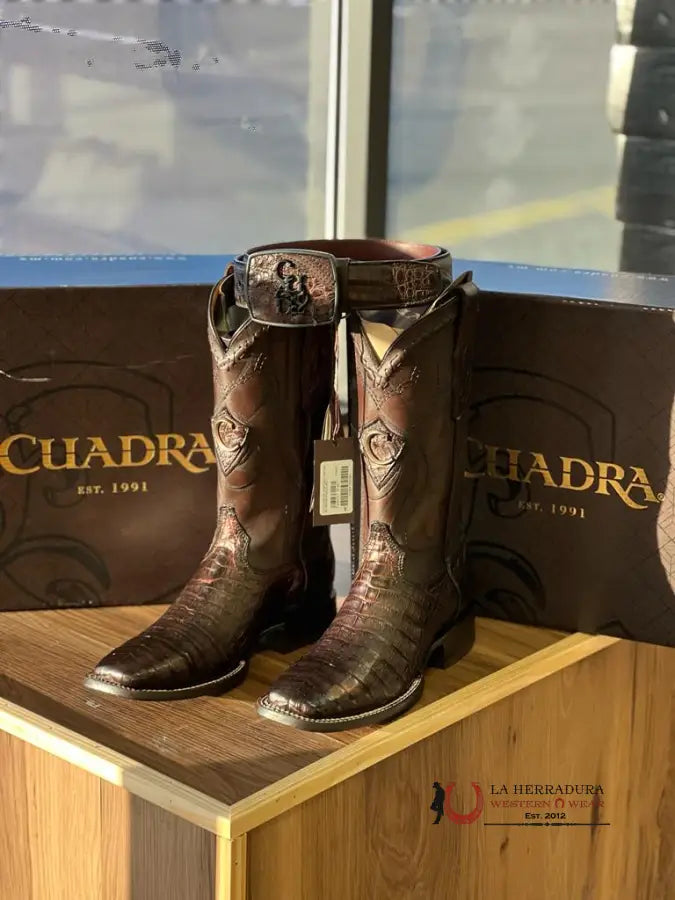 Cuadra Boot Fuscus Belly Caiman Paris Café Square Toe Botas Hombres