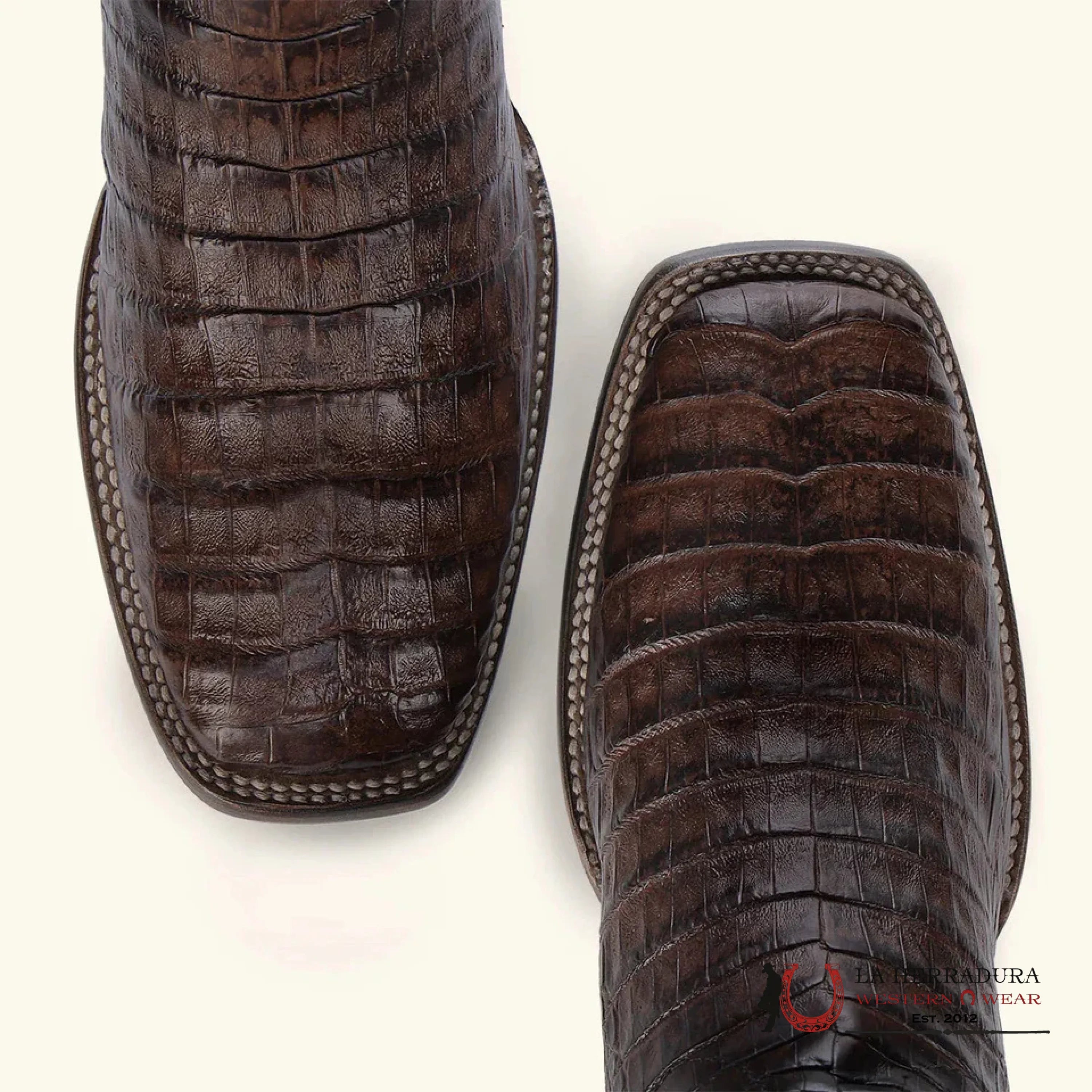 CUADRA BOOT FUSCUS BELLY CAIMAN PARIS CAFÉ SQUARE TOE CU456 BOTAS HOMBRES