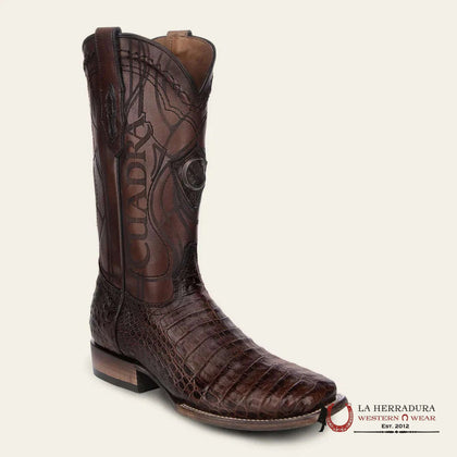 CUADRA BOTA CAIMÁN DE VIENTRE FUSCO PARIS CAFÉ PUNTA CUADRADA CU456