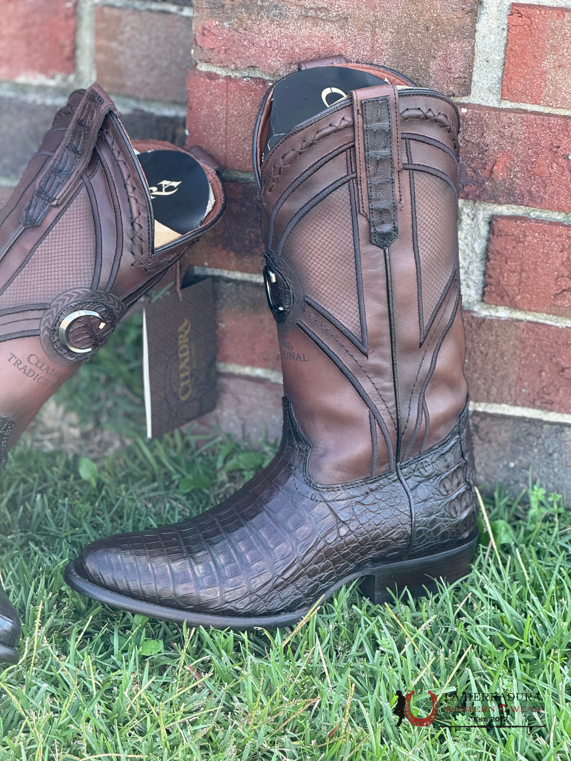 Cuadra Boot Fuscus Lomo Belly Caiman Punge Cafe Laser & Embroidery Woven Round Toe 2H0Afy Cuardra