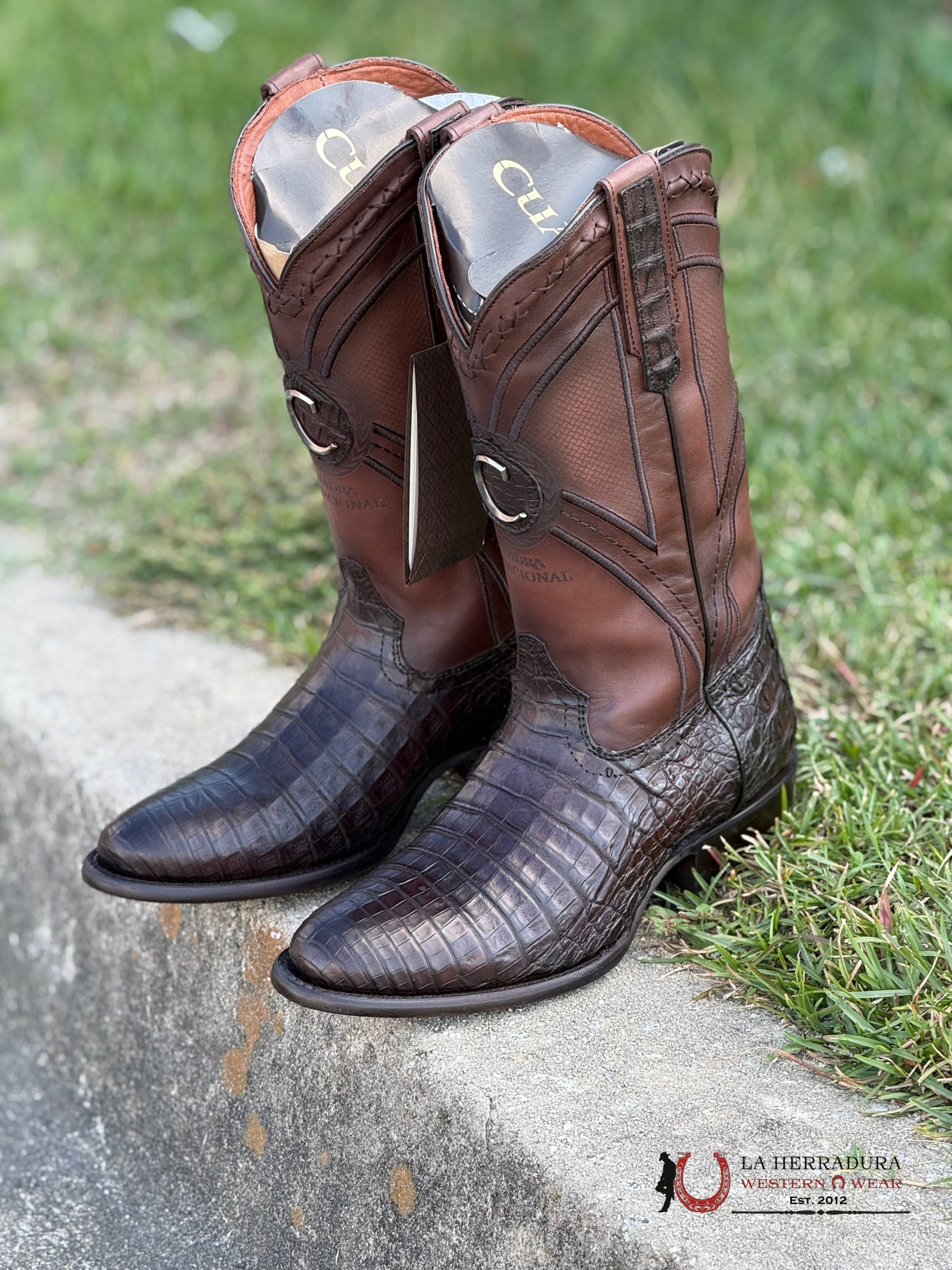 Cuadra Boot Fuscus Lomo Belly Caiman Punge Cafe Laser & Embroidery Woven Round Toe 2H0Afy Cuardra