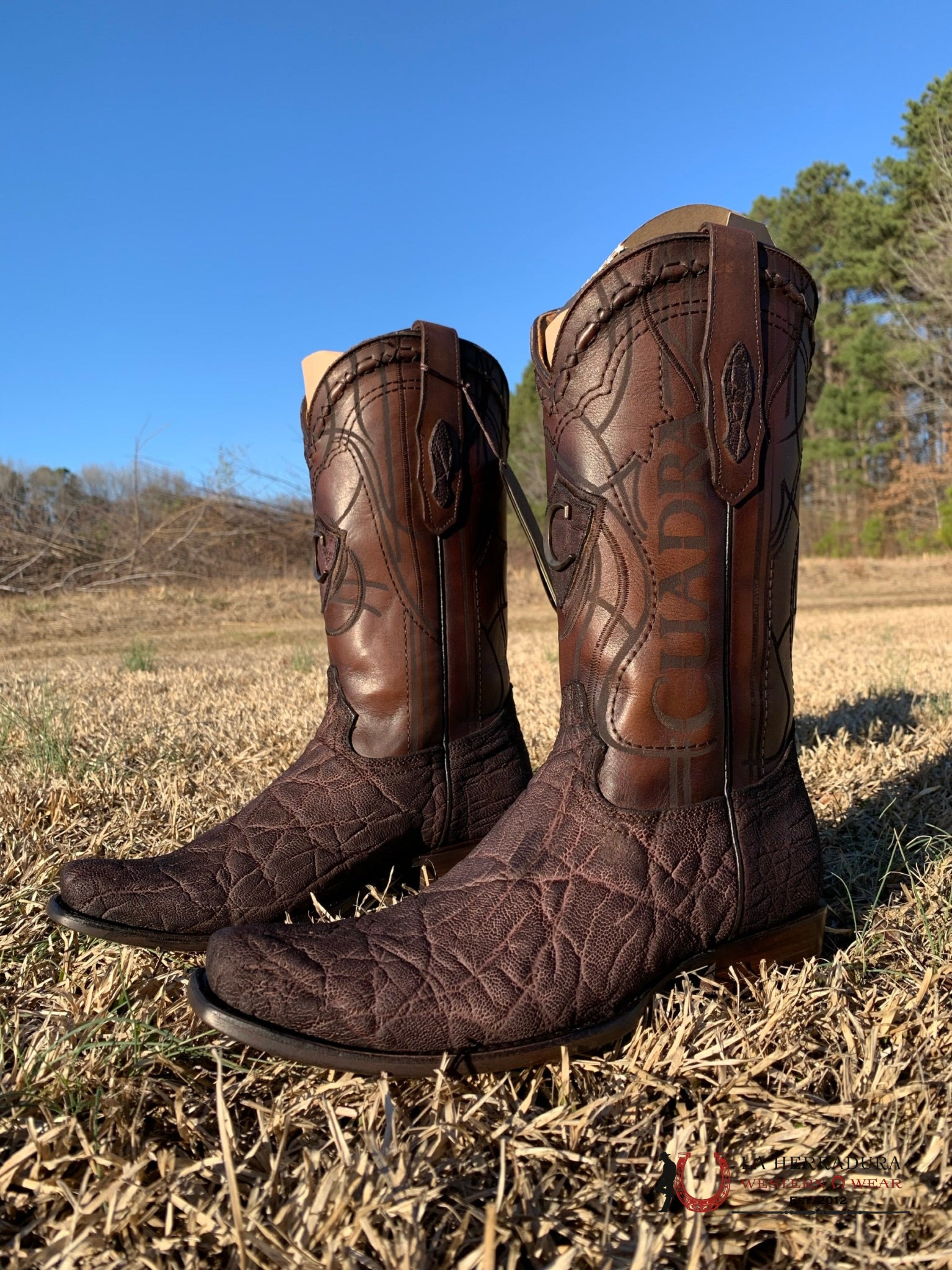Cuadra Boots Elephant Chocolate Skin Semi Square Toe 7.5 Usa (México 26.5) / Botas Hombres