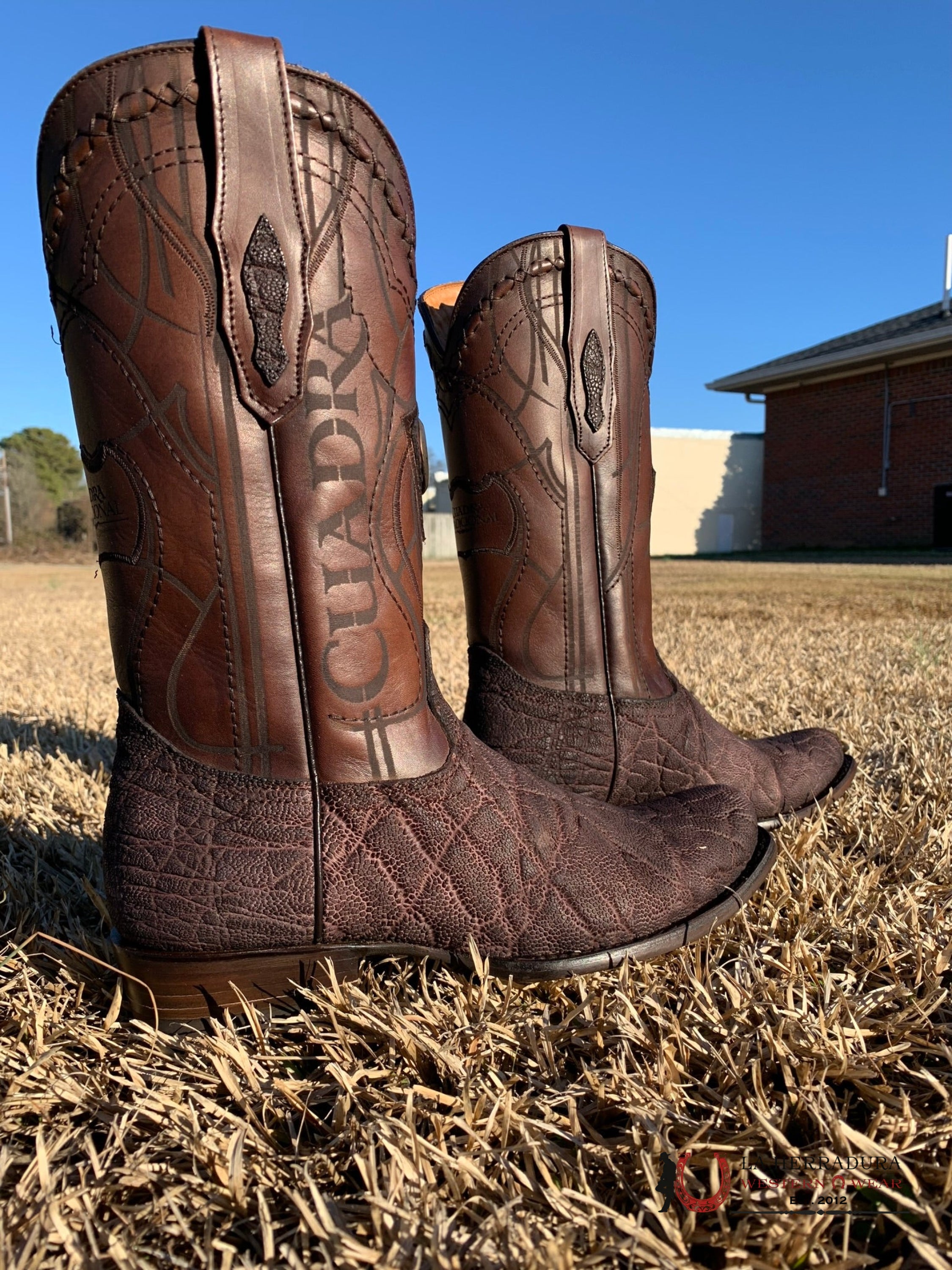Cuadra Boots Elephant Chocolate Skin Semi Square Toe 7 Usa (México 26) / Botas Hombres