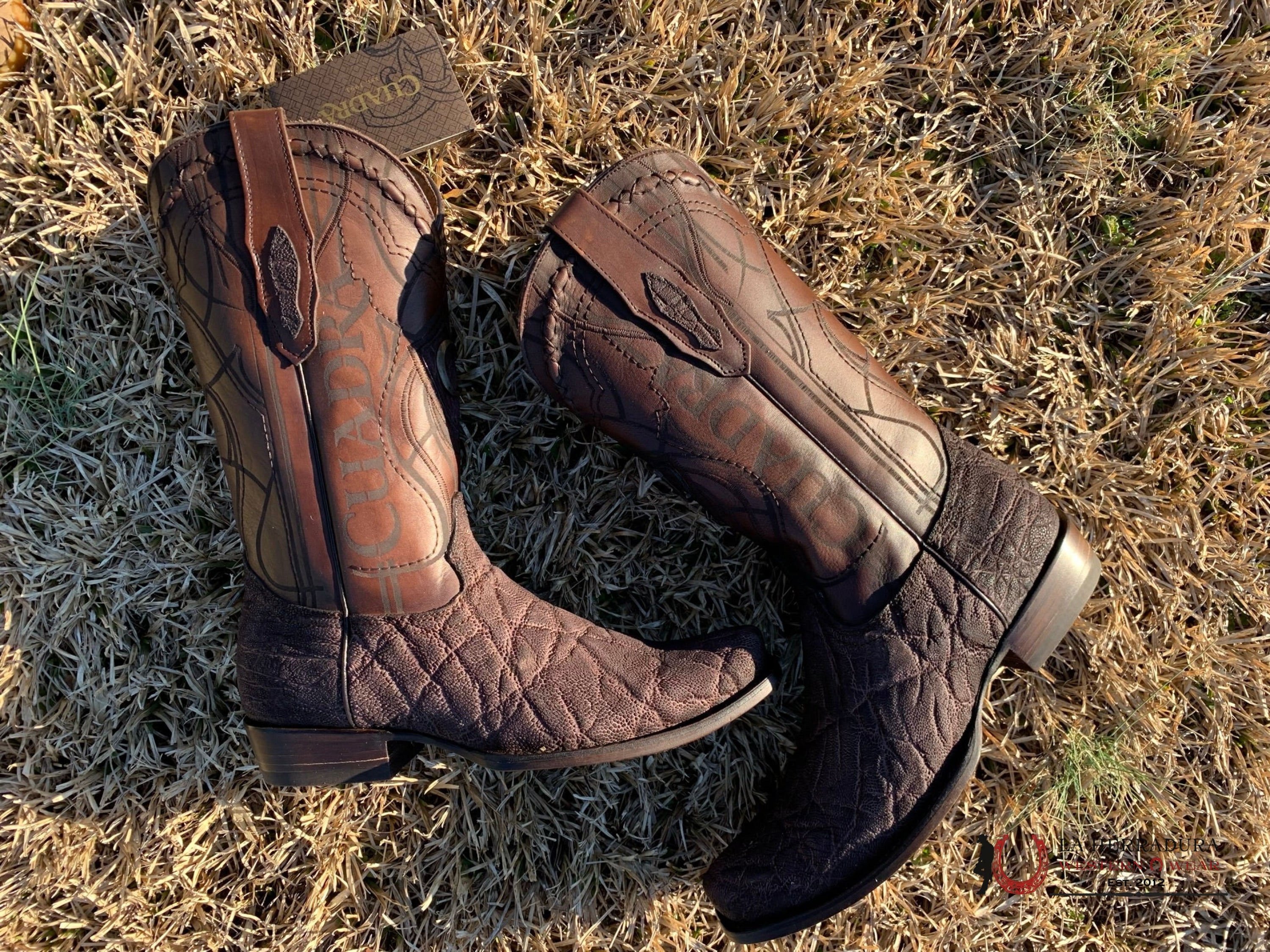 Cuadra Boots Elephant Chocolate Skin Semi Square Toe Botas Hombres