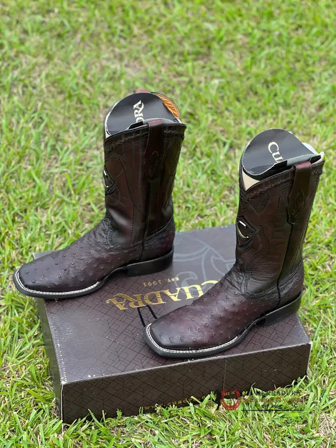 Cuadra Boots Ostrich Blackcherry Laser & Embroidery Square Toe