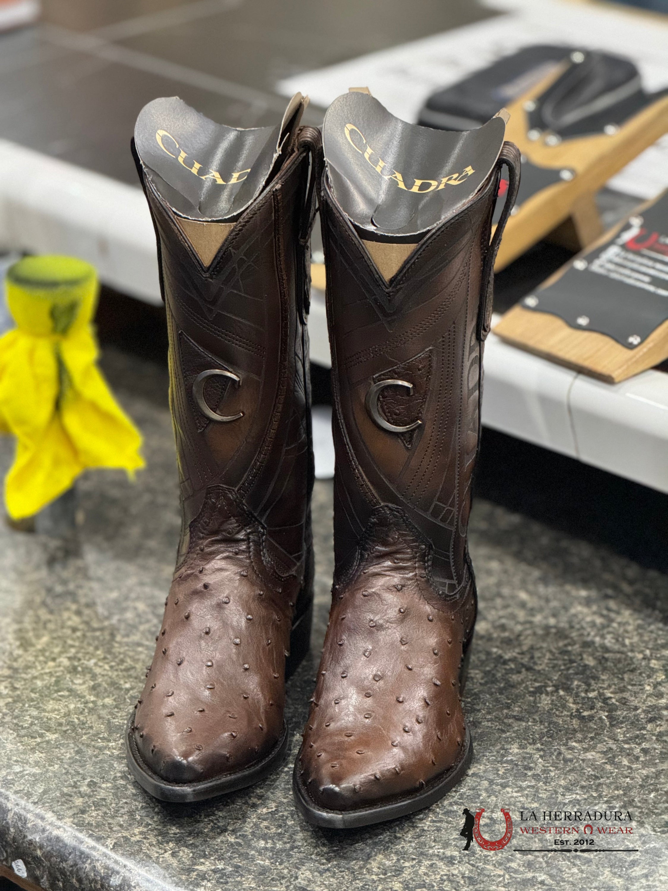 Cuadra Boots Ostrich Chocolate Laser & Embroidery Snip B22Pa1 Botas Hombres
