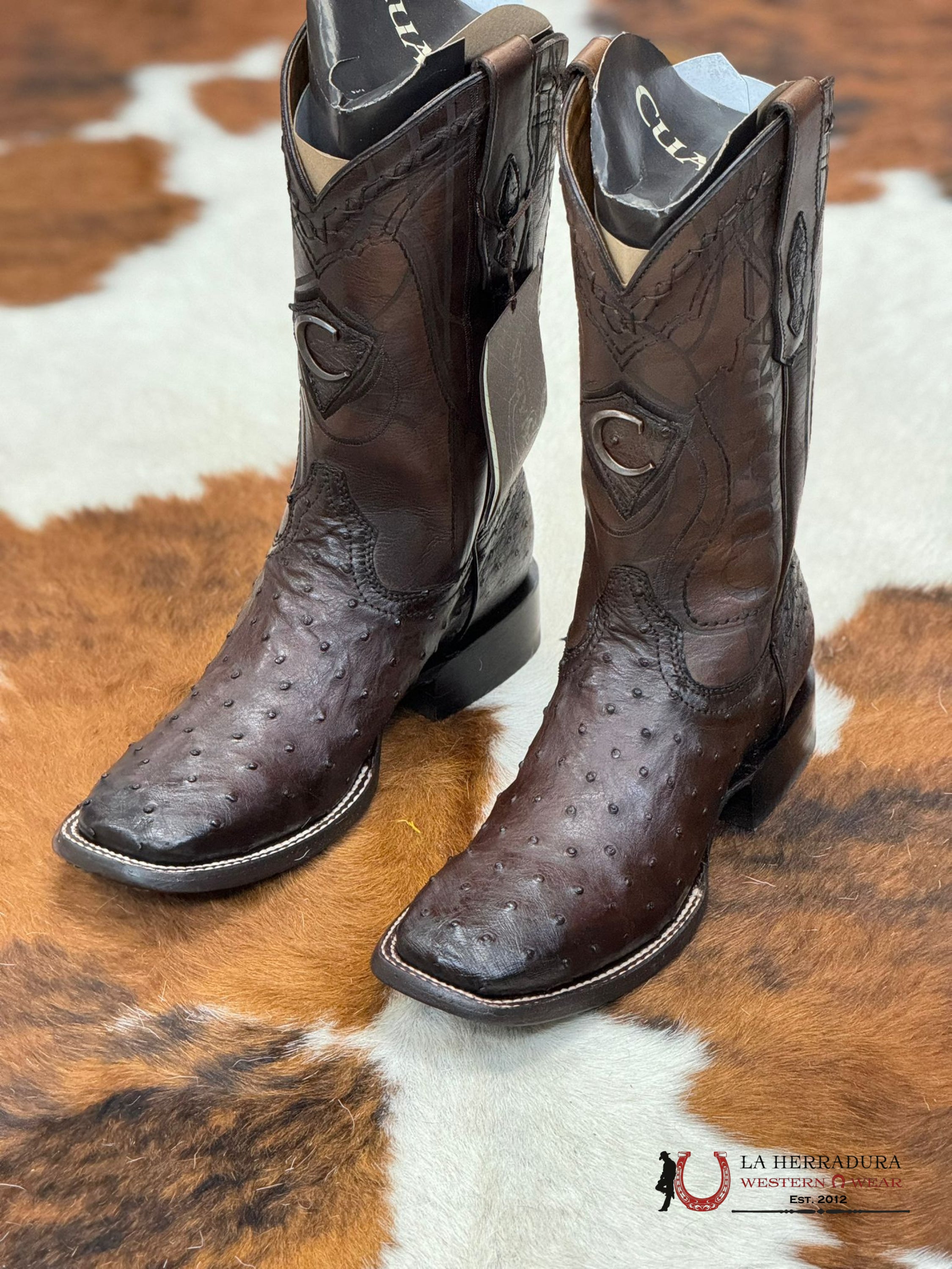 Cuadra Boots Ostrich Flame Cafe Laser Embroidery Square Toe