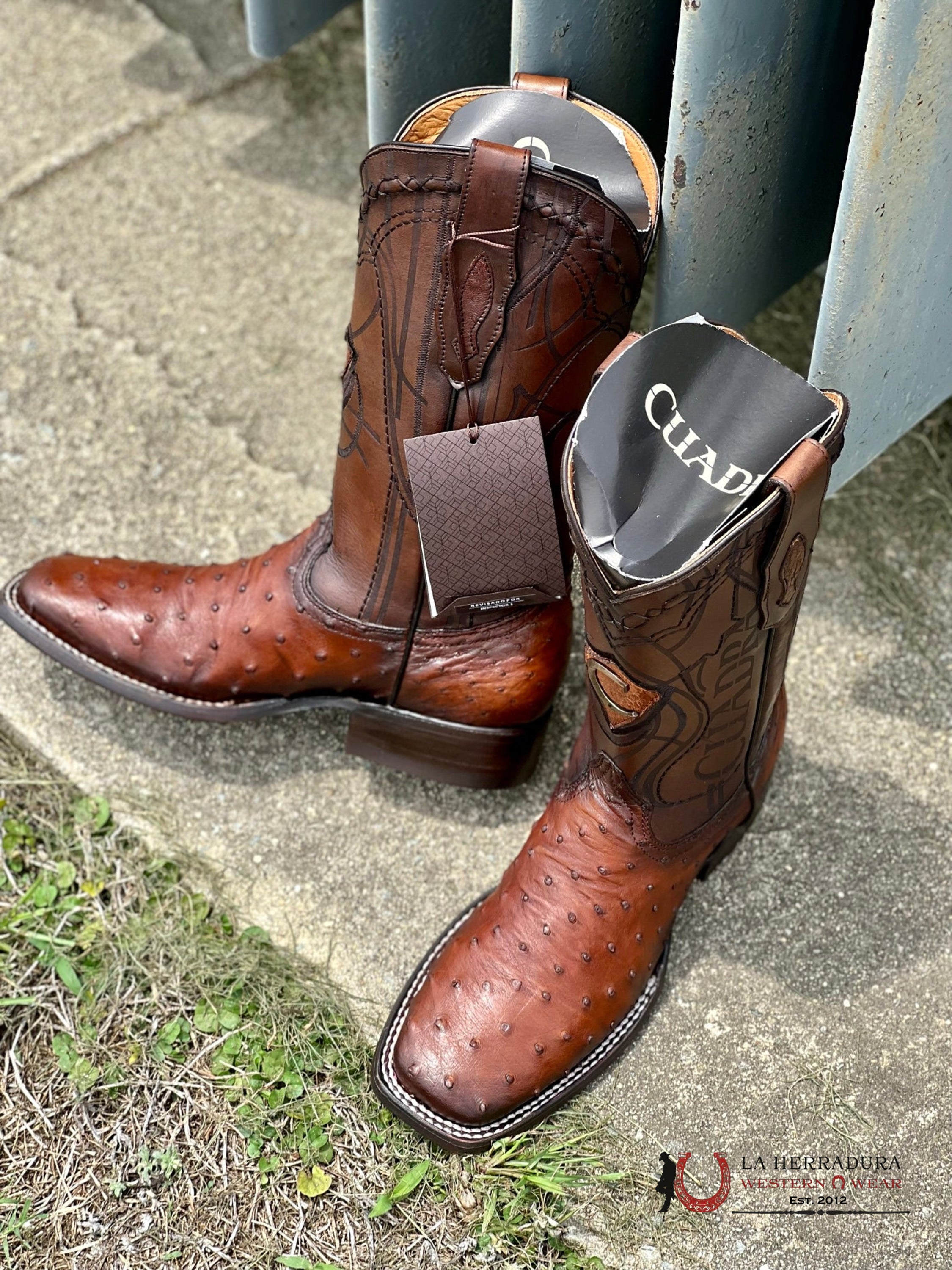 Cuadra Boots Ostrich Moroni Castaño Laser & Embroidery Square Toe