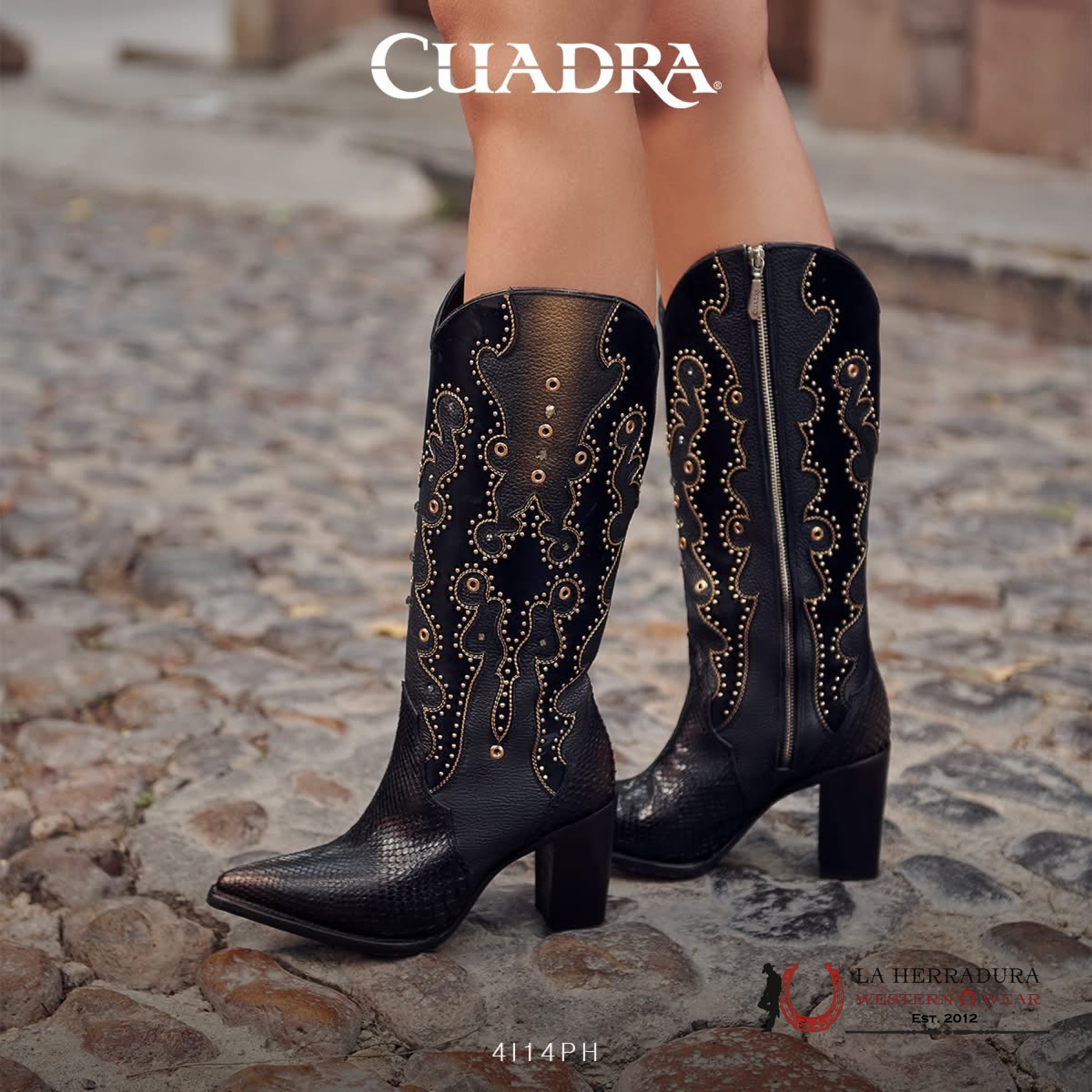 Cuadra Bota De Pitón Belly Plunge Negro Emb. & Studs Pointed Toe Botas Mujeres