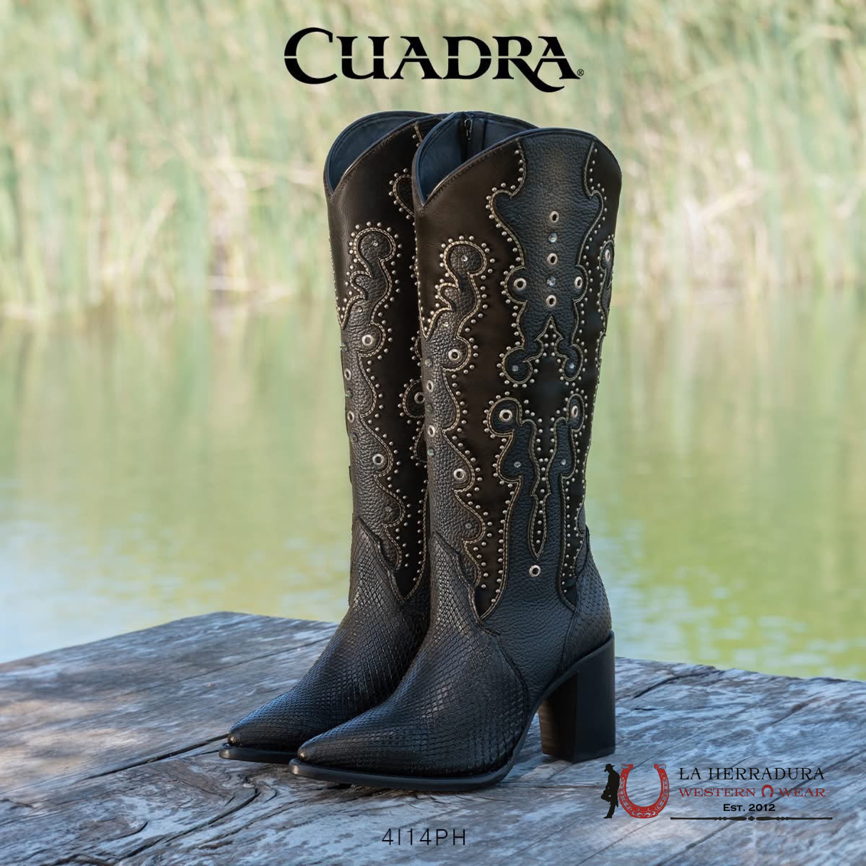 Cuadra Bota De Pitón Belly Plunge Negro Emb. & Studs Pointed Toe Botas Mujeres
