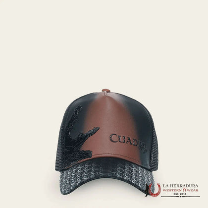 CUADRA BROWN ALLIGATOR INSPIRATION HAT CC121