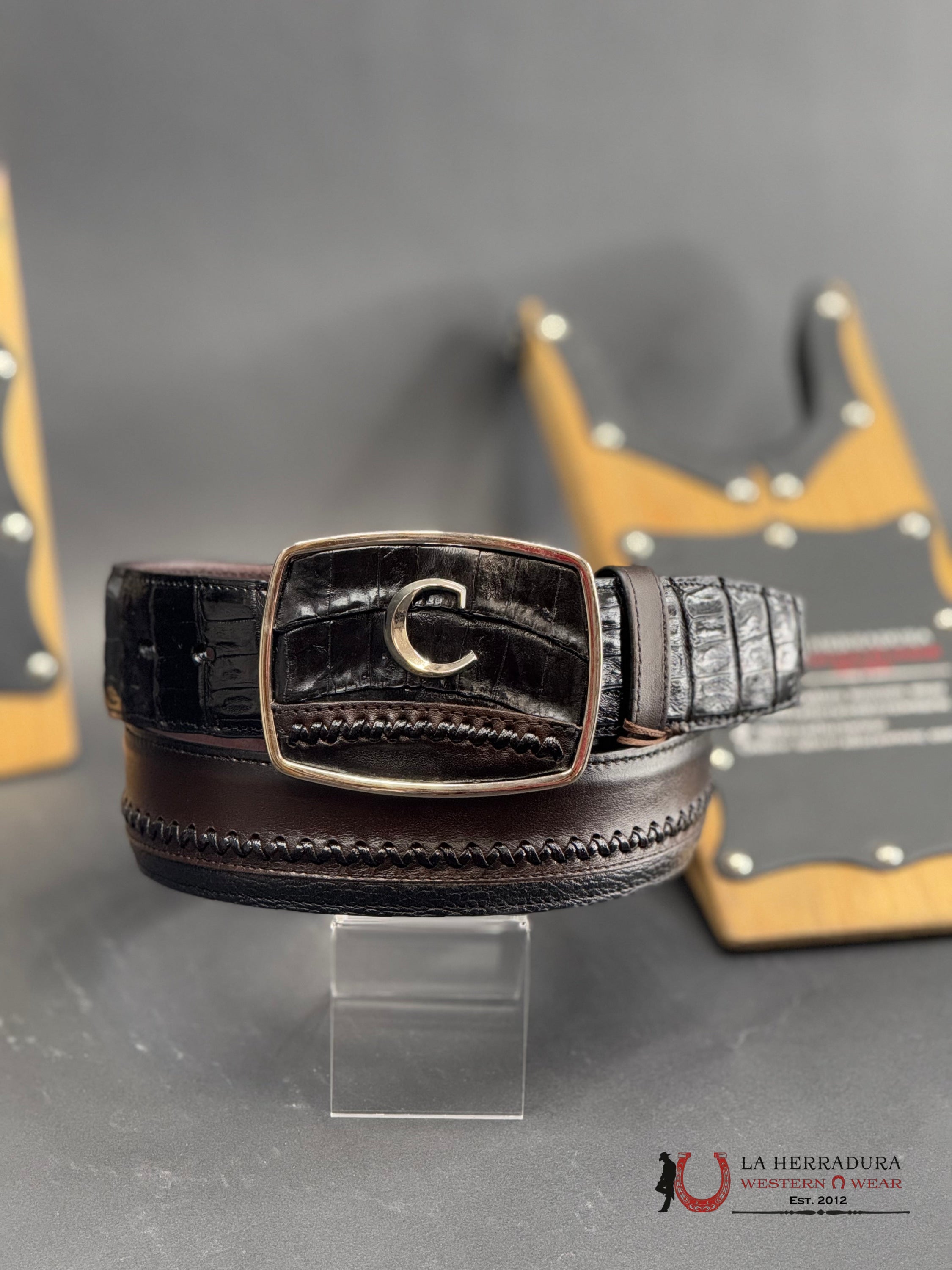 Cuadra Caiman Fuscus Cola Plunge Negro Belt Bc368 Cinturones Hombres
