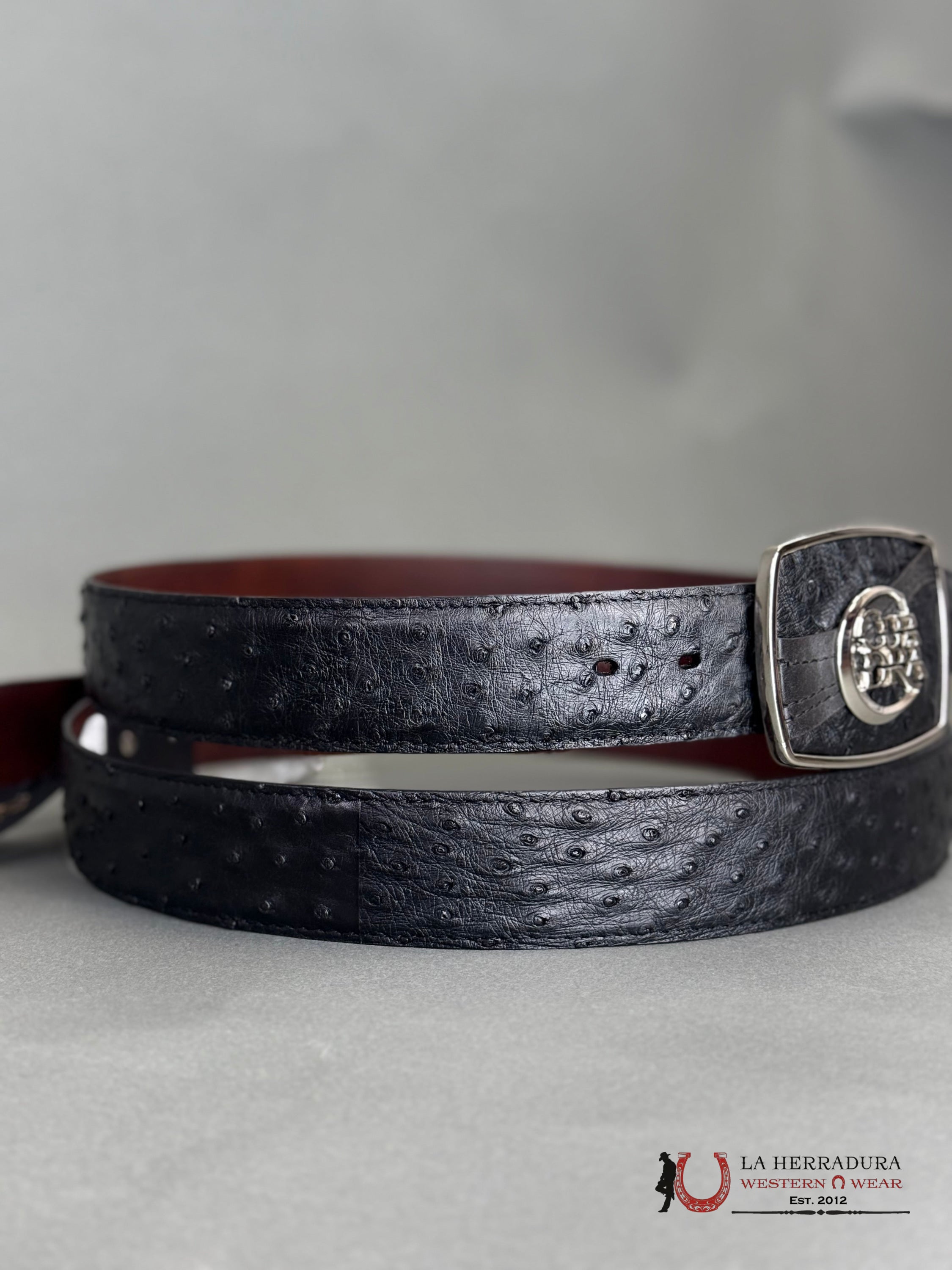 CUADRA Cinto De Avestruz Negro Completo CINTURONES HOMBRES