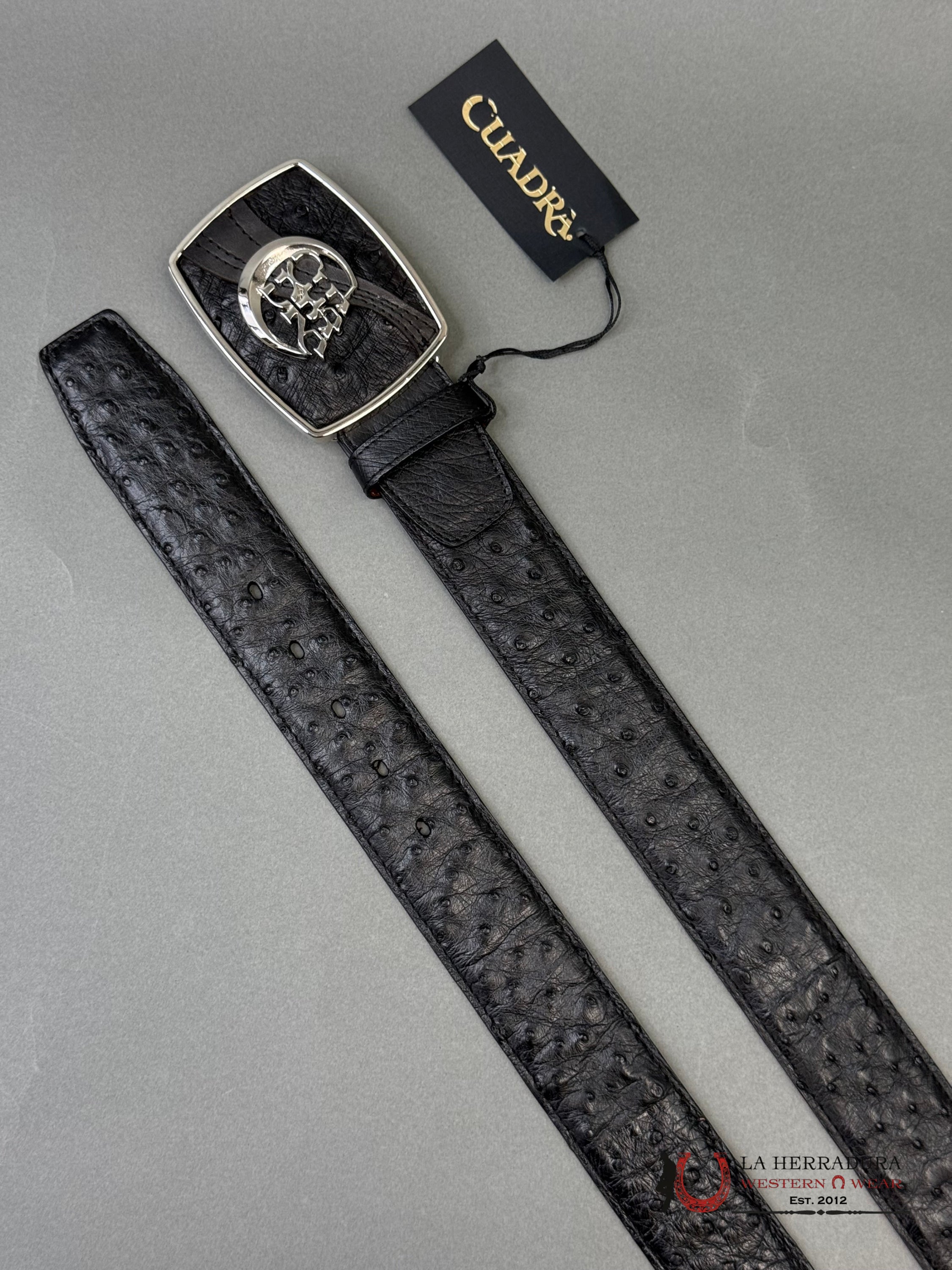 CUADRA Cinto De Avestruz Negro Completo CINTURONES HOMBRES