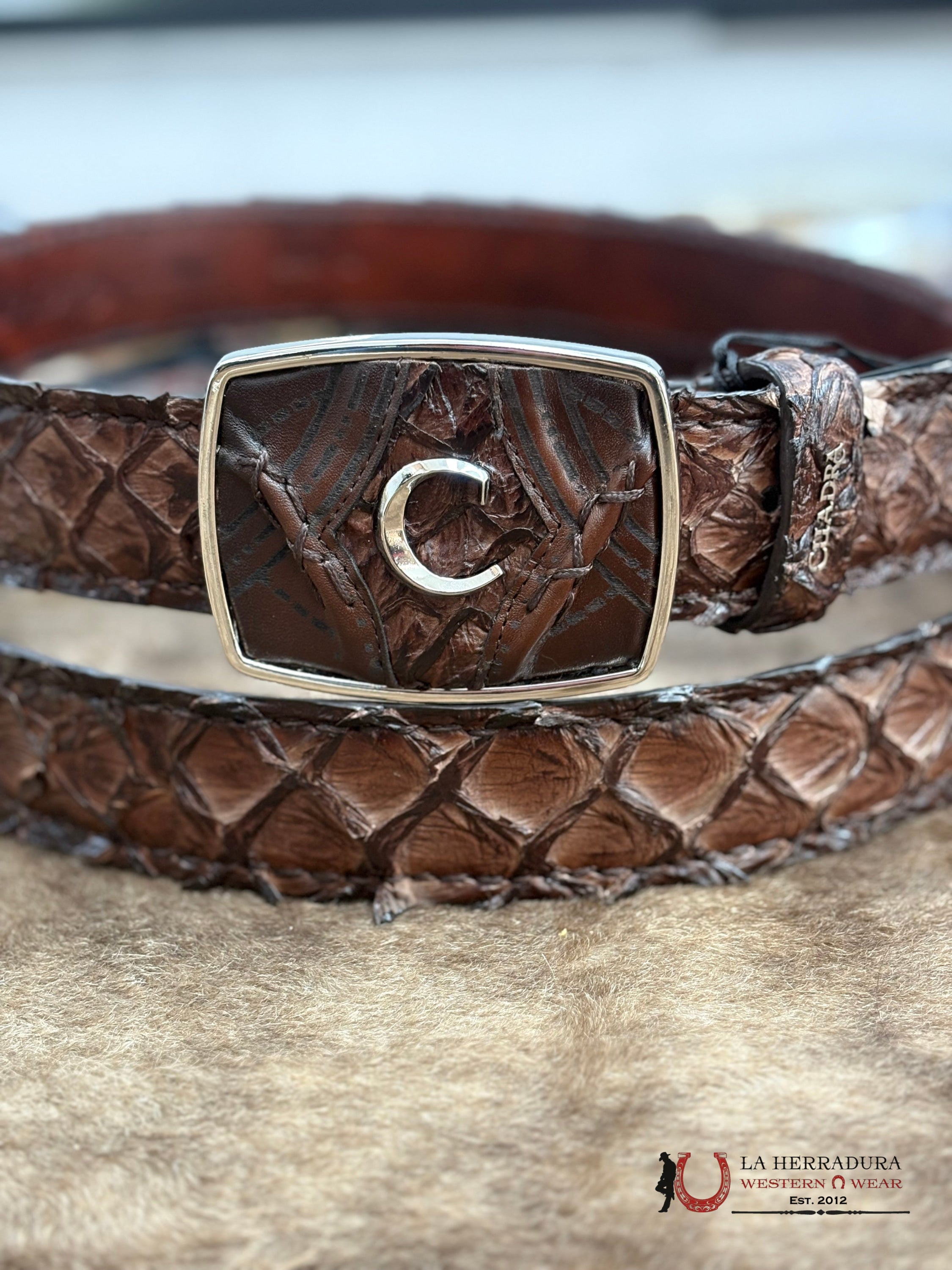 CUADRA CINTO PIRARUCU CHOCOLATE CINTURONES HOMBRES