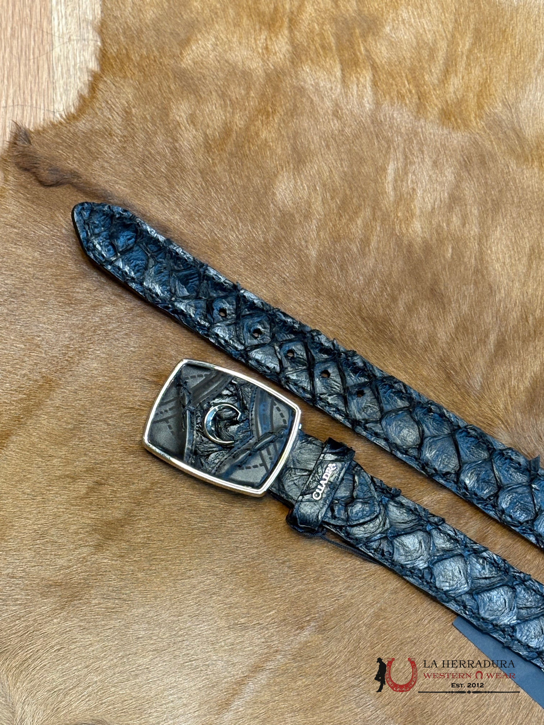 CUADRA CINTO PIRARUCU NEGRO BC389 CINTURONES HOMBRES