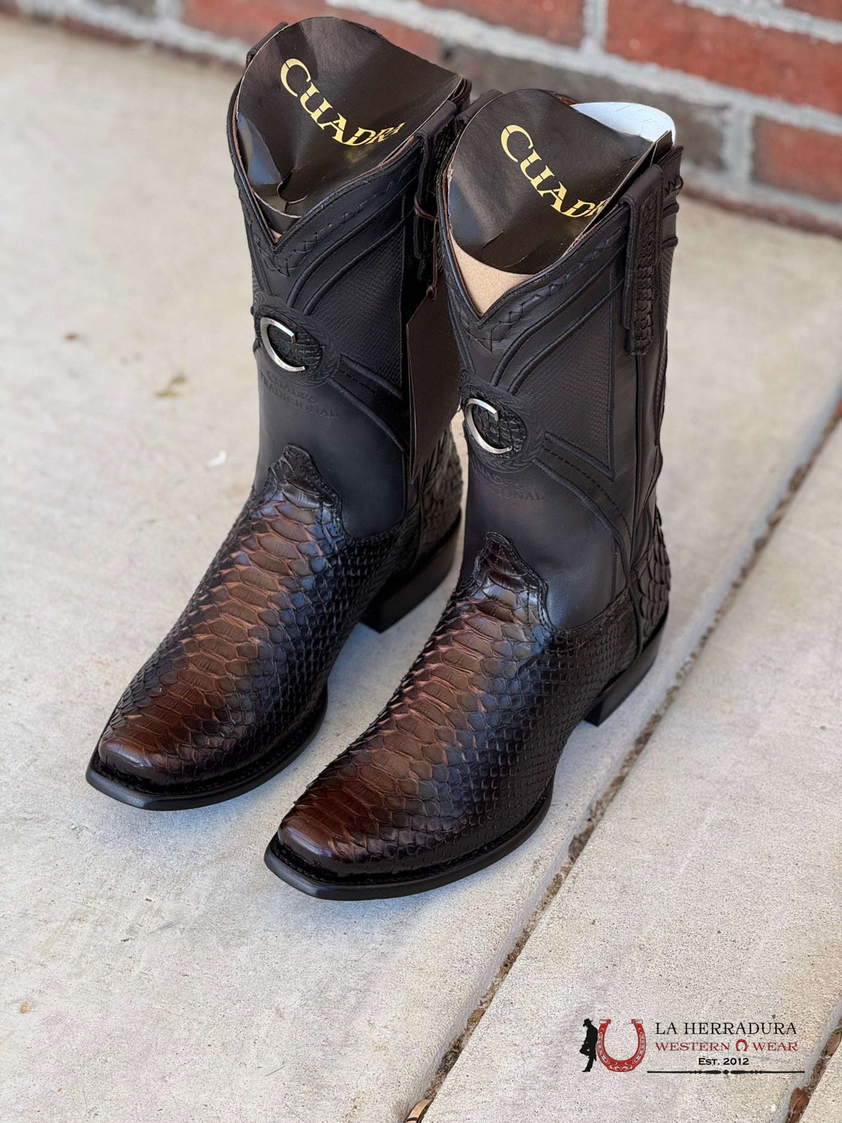 CUADRA CU849 BOOTS PYTHON BACK LISBOA NEGRO/ CHOCOLATE EMBROIDERED & L