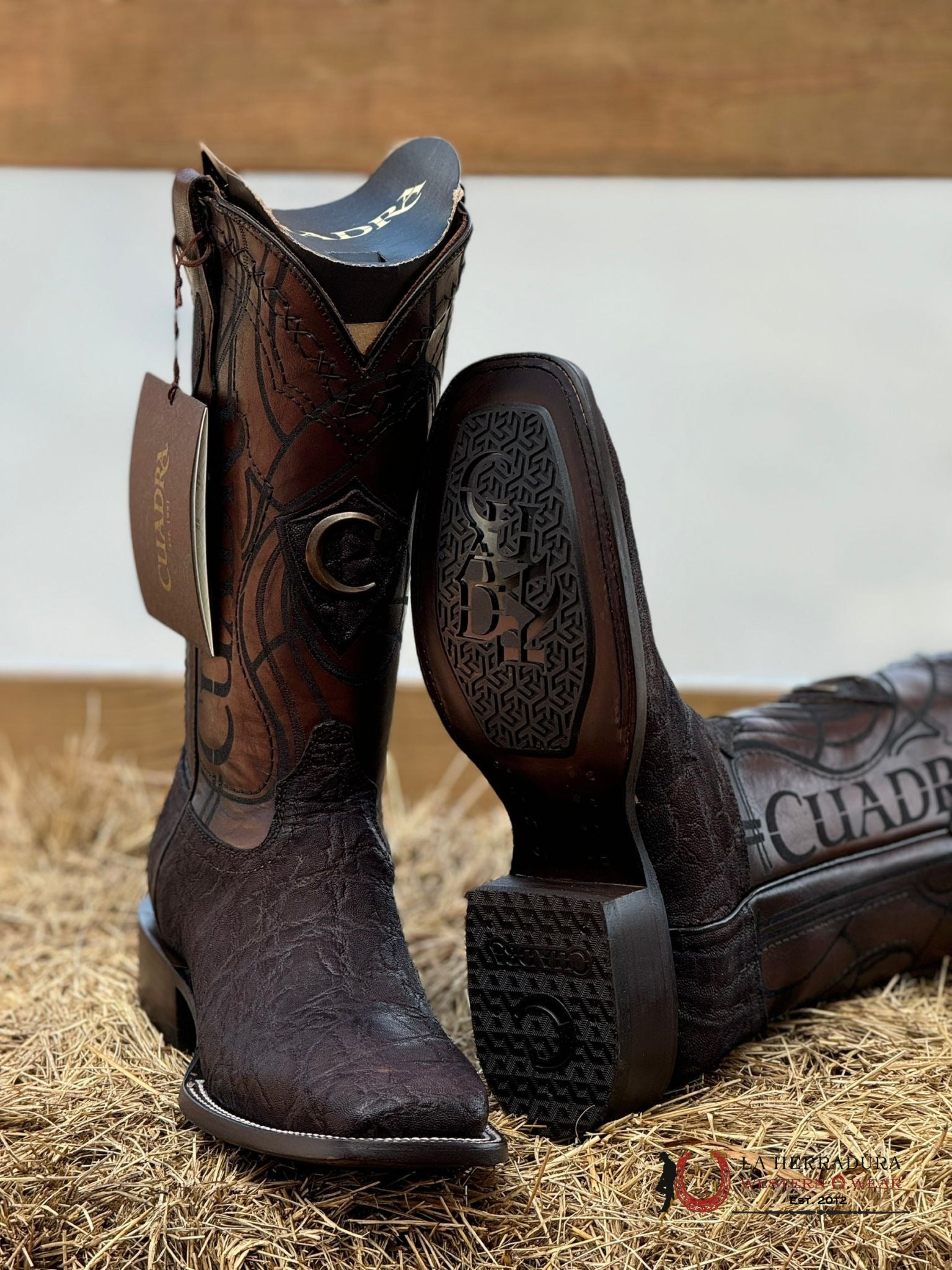 Cuadra Elefante Café Brown Láser & Embroidery Square Toe Boot Botas Hombres