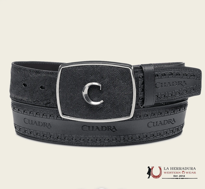 CUADRA ELEFANTE LASER/WOV BLACK BELT BC313