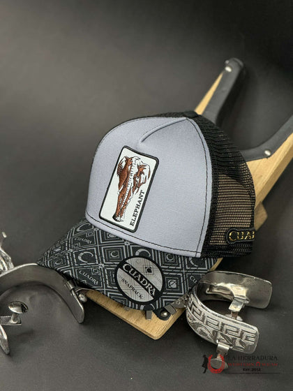 CUADRA ELEPHANT CHARCOAL BLACK CAP
