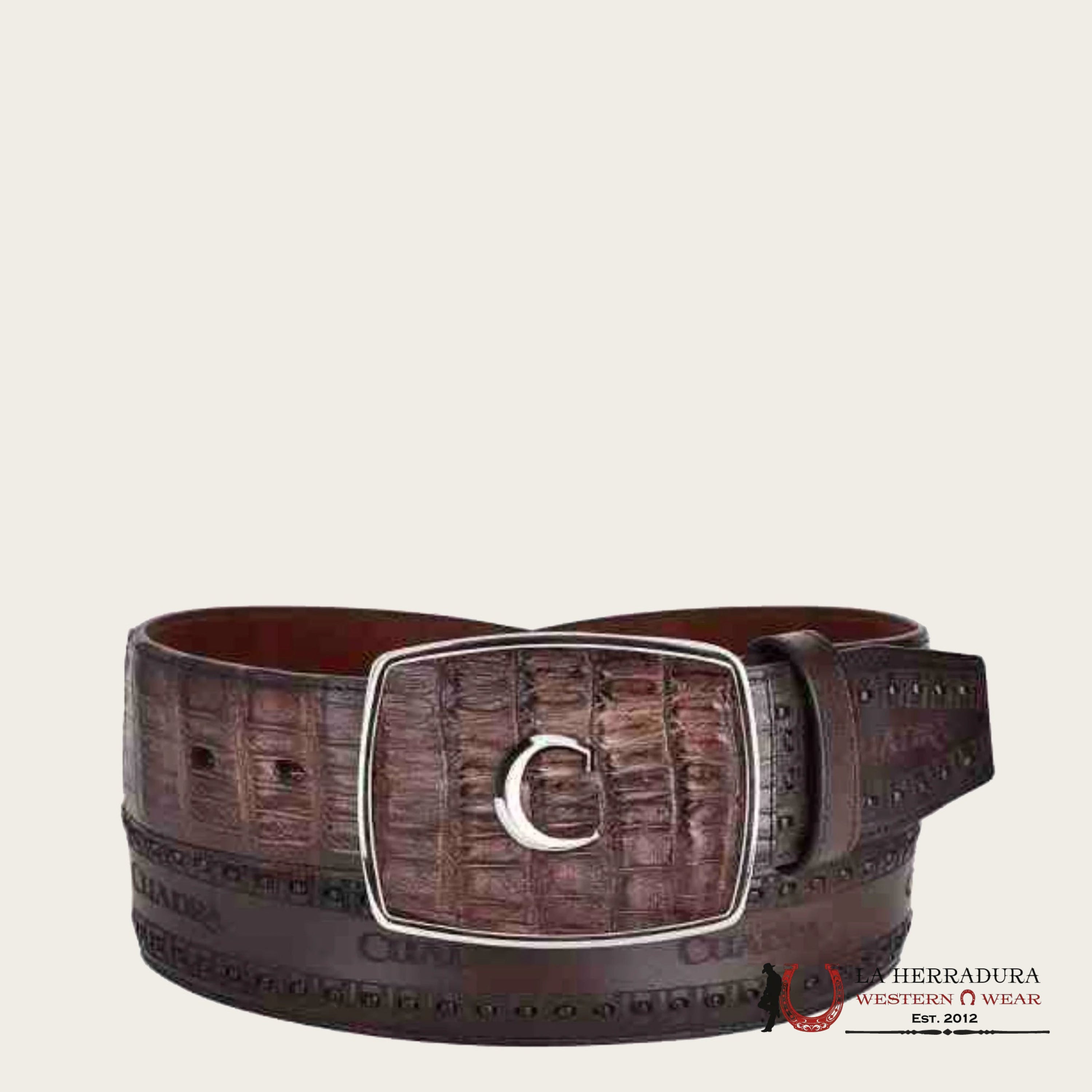 CUADRA FUSCUS BELLY ARAUCO CHOCOLATE BELT BC279 CINTURONES HOMBRES