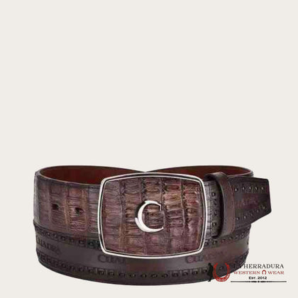 CUADRA FUSCUS VIENTRE ARAUCO CINTURÓN CHOCOLATE BC279