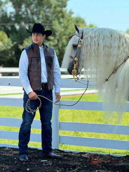 Cuadra Mens Embroidered Brown Leather Reversible Vest Ovine Brown JC105