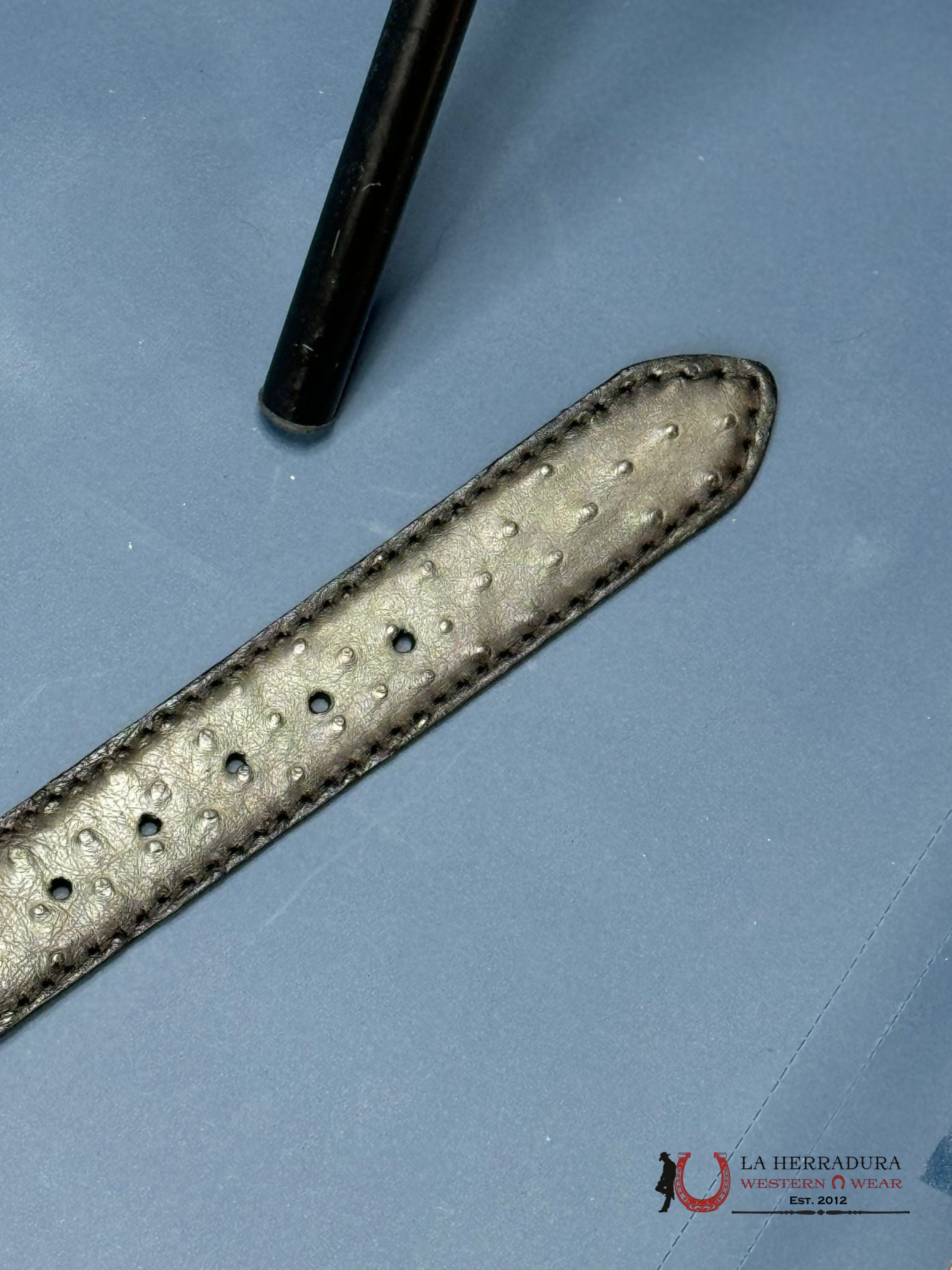 Cuadra Ostrich Complete Grey Belt Cinturones Hombres