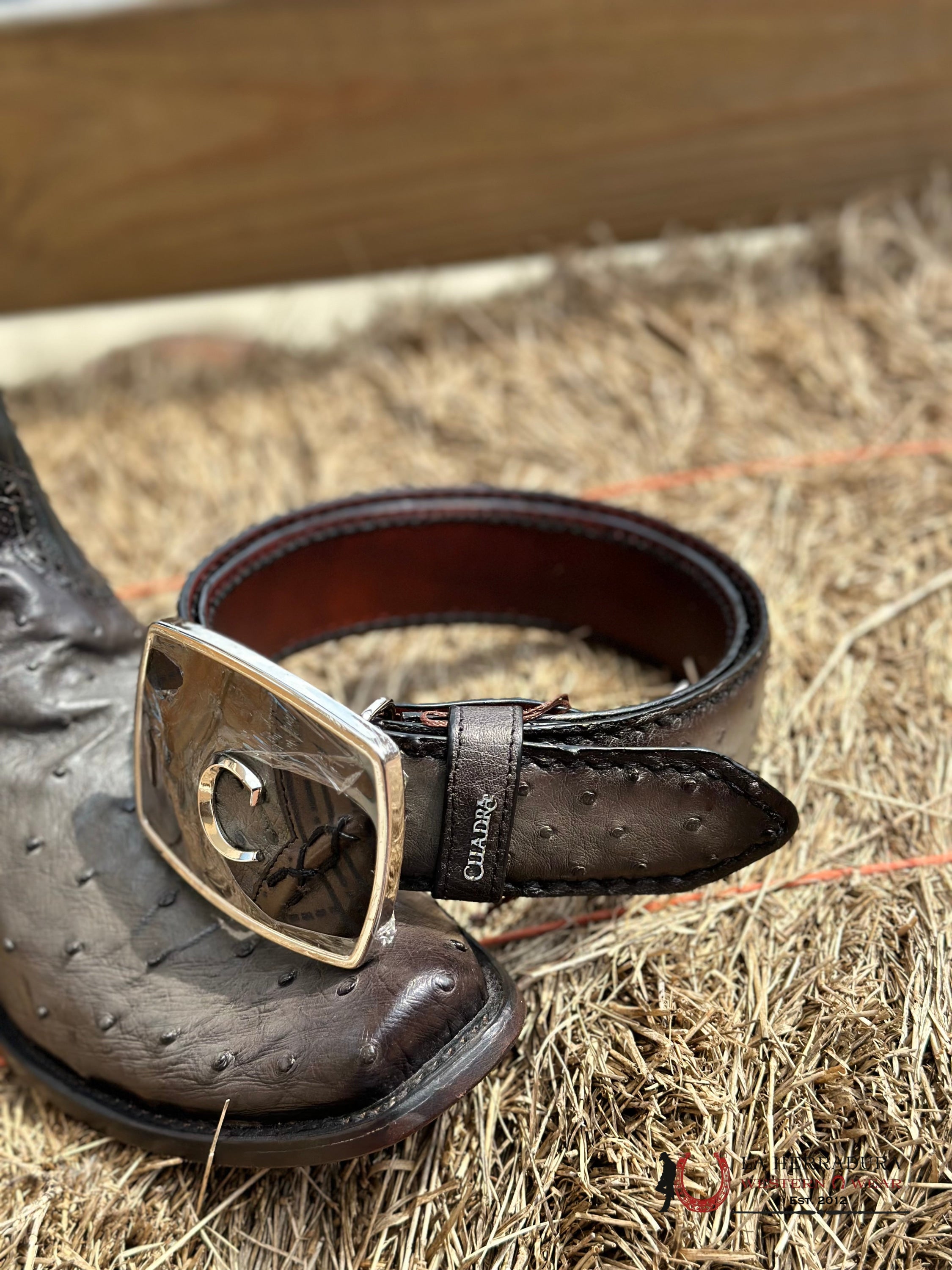 Cuadra Ostrich Complete Grey Belt Cinturones Hombres