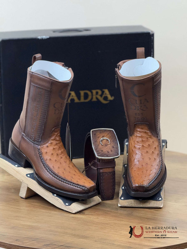 CUADRA BOTA CORTA AVESTRUZ MORONI CHESTNUT LÁSER Y TEJIDA PUNTA CUADRADA ESTRECHA- CU804