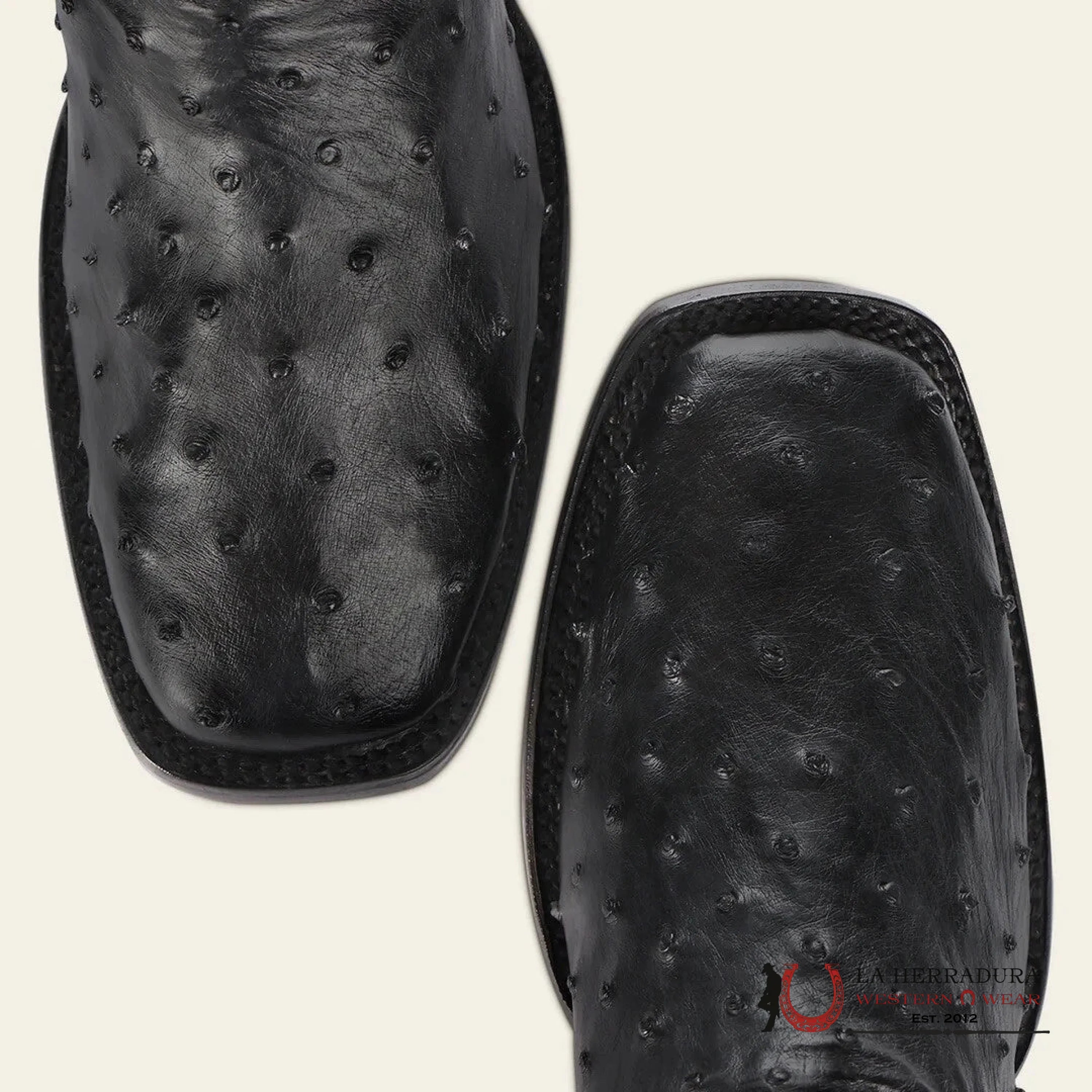 CUADRA SHORT BOTÍN BOOT AVESRUZ NEGRO CAFE SQUARE TOE CU821 BOTAS HOMBRES