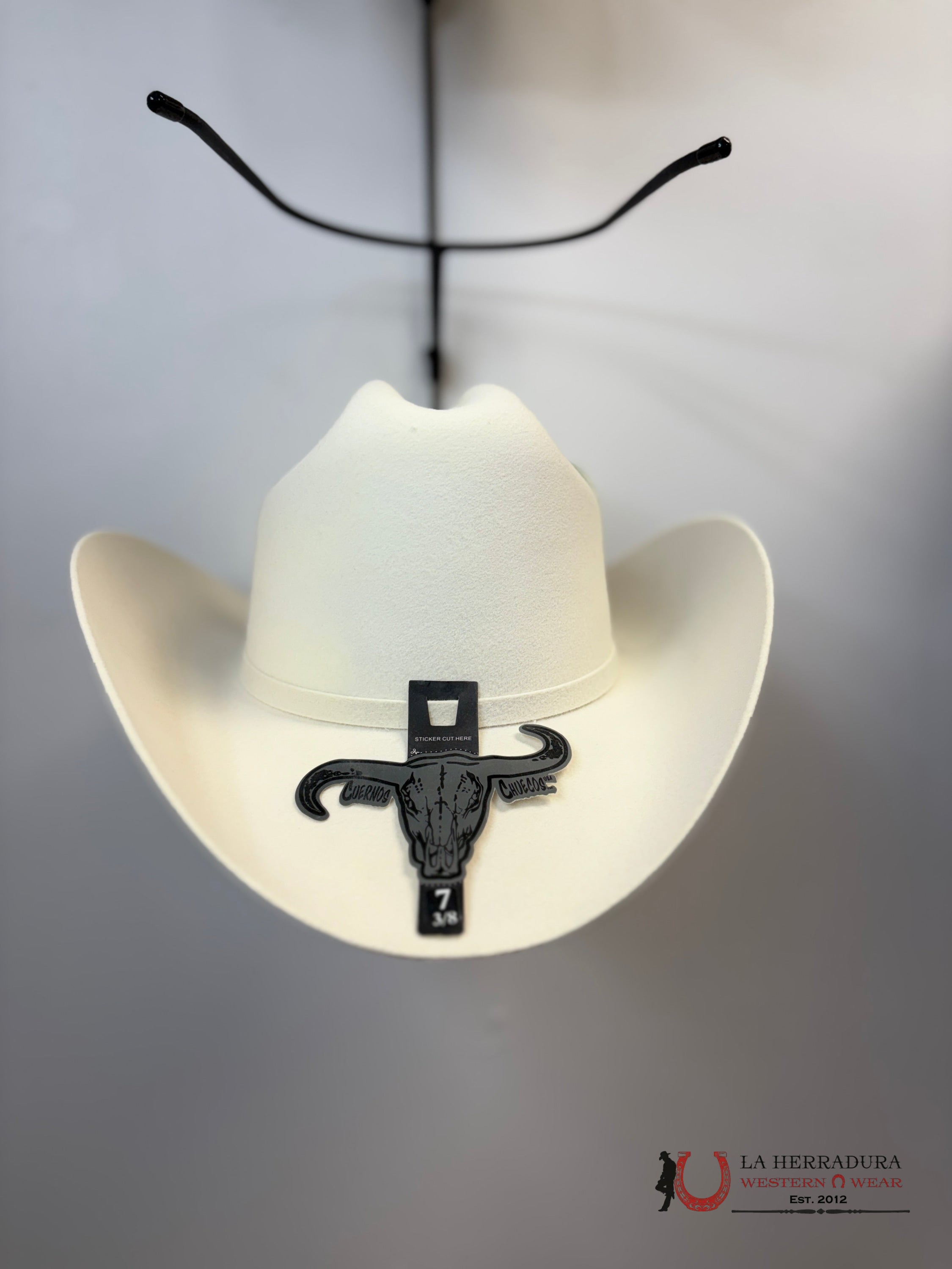 CUERNOS CHUECOS 6X copa regular WHITE TEJANA