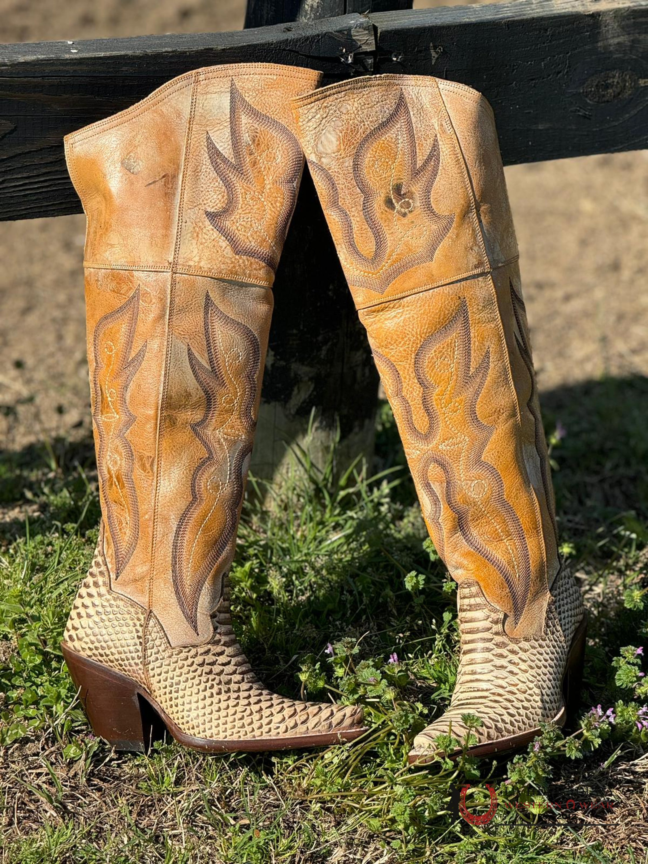 Dan Post Python Aretha Honey Snip Toe Botas Mujeres