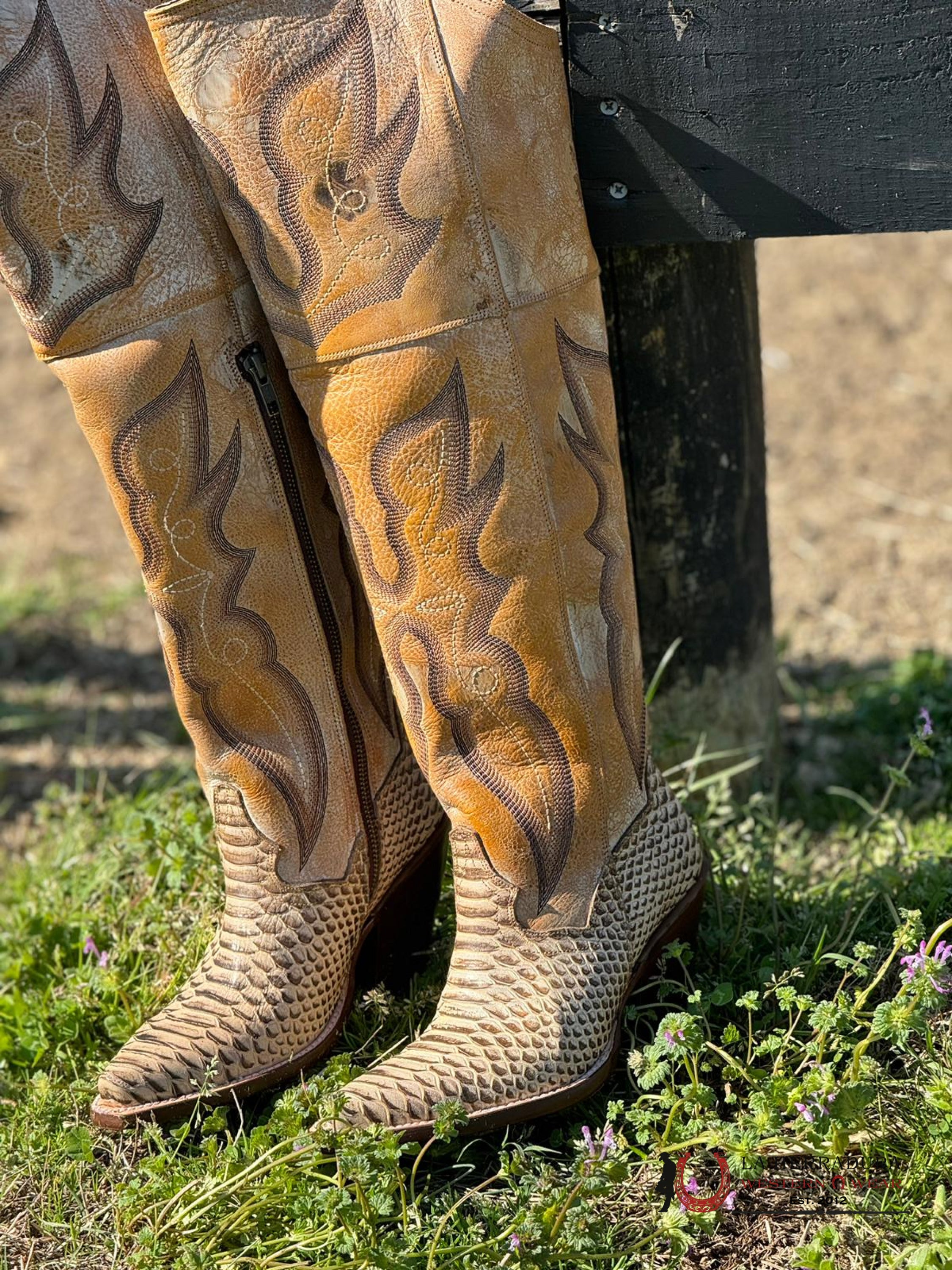 Dan Post Python Aretha Honey Snip Toe Botas Mujeres