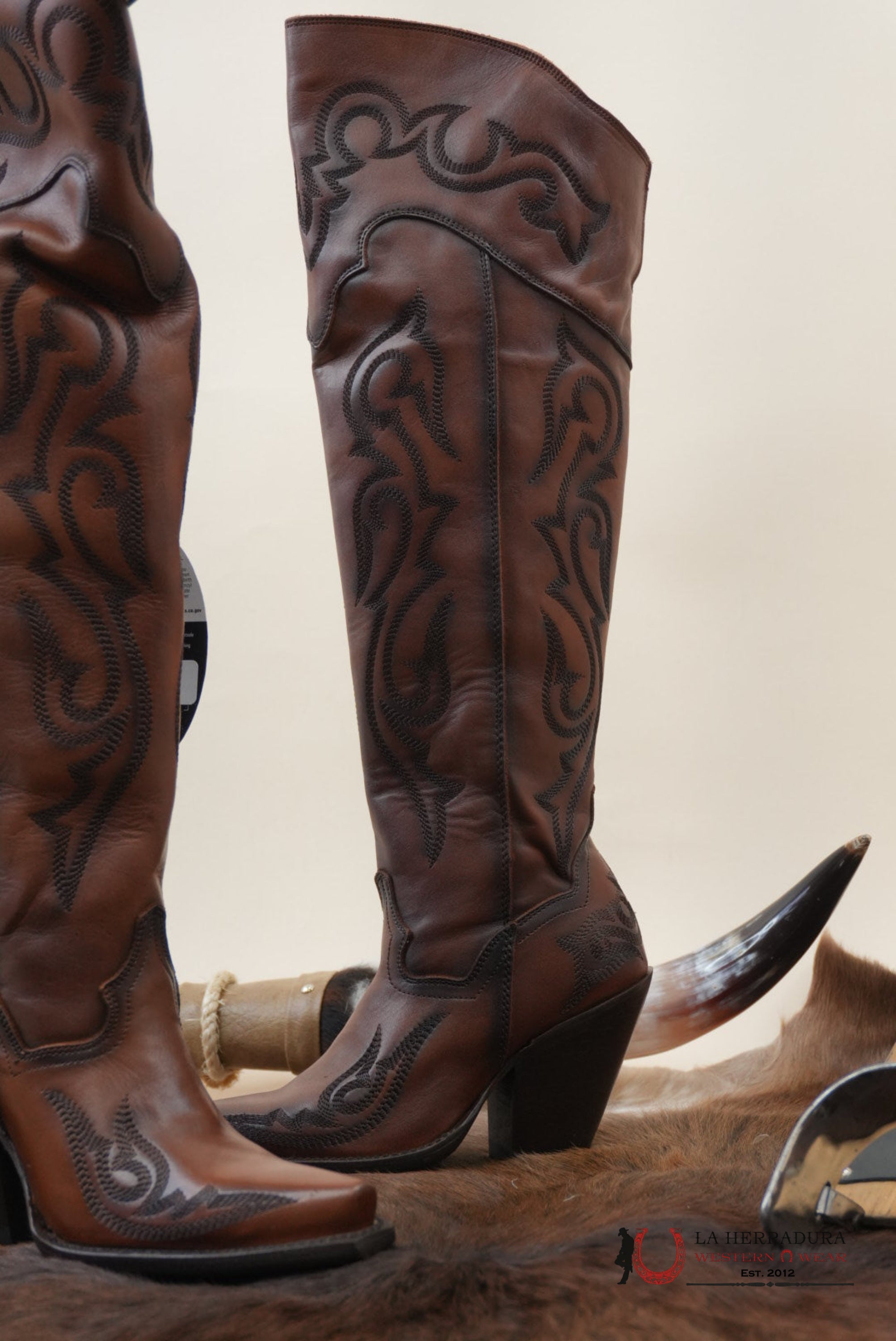 DAN POST SEDUCTRESS CHESTNUT LEATHER SNIP TOE TALL BOOT WOMEN BOTAS MUJERES