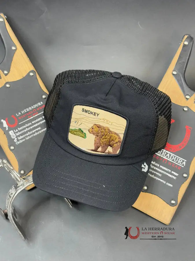 Exotic Animal Camp Crasher Bear Black Caps Mens Gorras Hombres