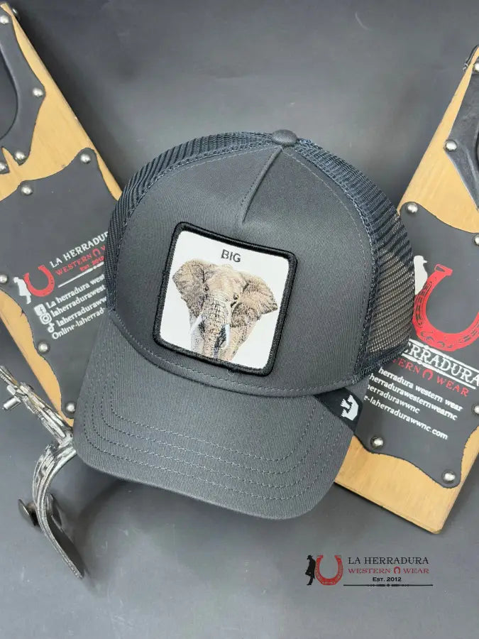 Exotic Animal Elephant Charcoal Caps Mens Gorras Hombres