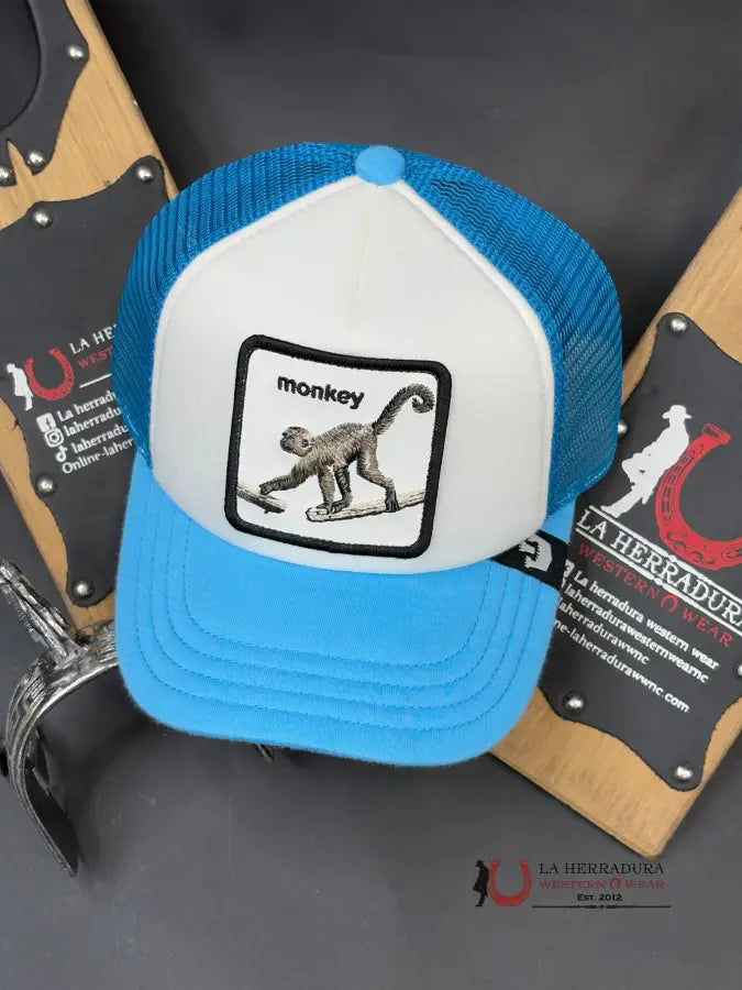 Exotic Animal Monkey Light Blue Caps Mens Gorras Hombres