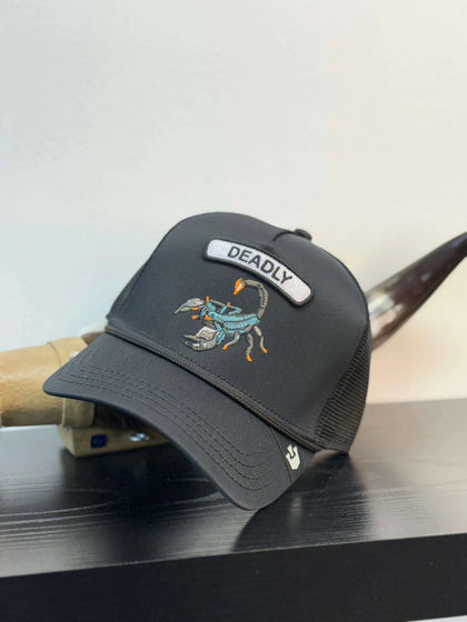 Gorra negra mortal estilo animal exótico