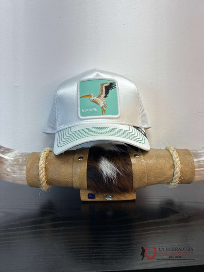 Gorra de estilo ANIMAL EXÓTICO NO ME GUSTA EL YOGA