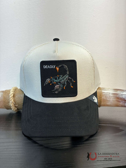 EXOTIC ANIMAL Estilo LA GORRA DE ANTE