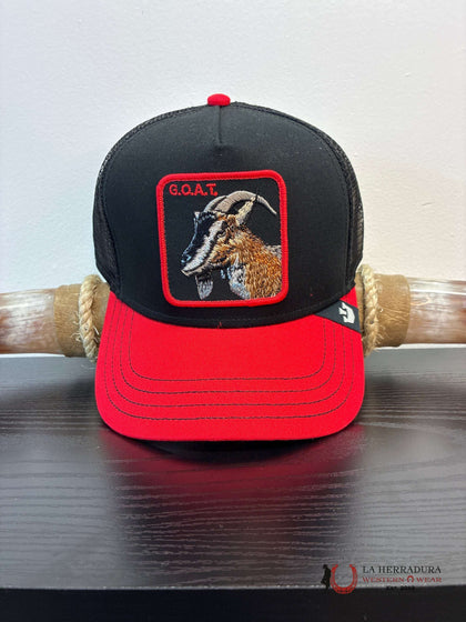 Gorra INDISCUTIBLE estilo ANIMAL EXÓTICO