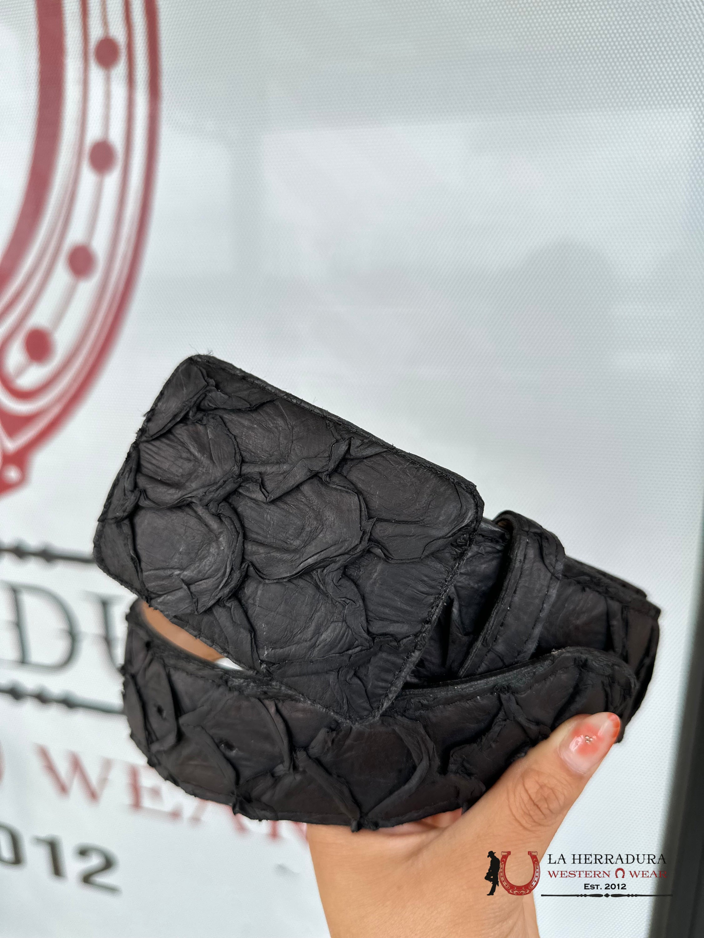 Exotic Fish Black Belt Cinturones Hombres