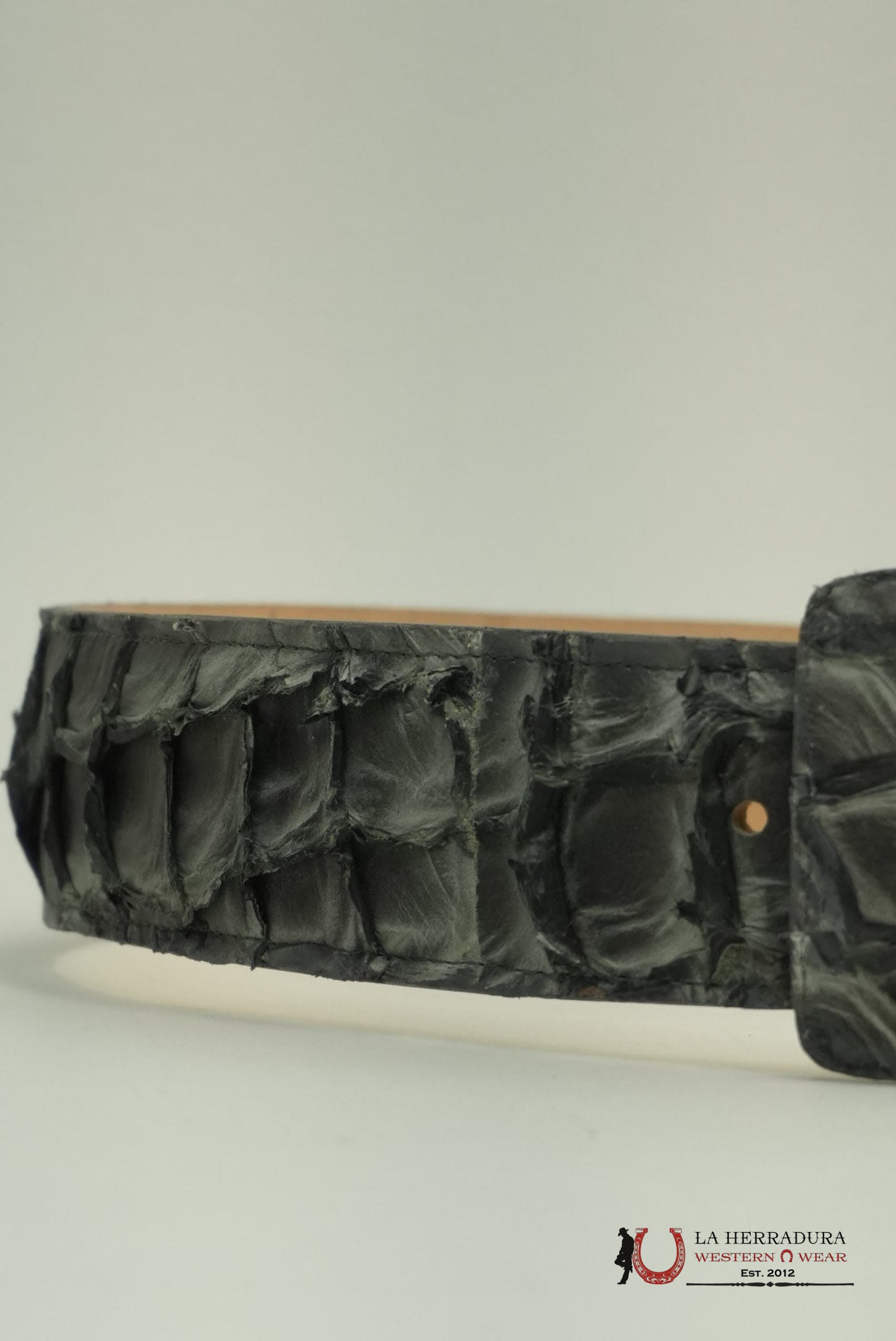 EXOTIC FISH CHARCOAL BELT SQUARE BUCKLE CINTURONES HOMBRES